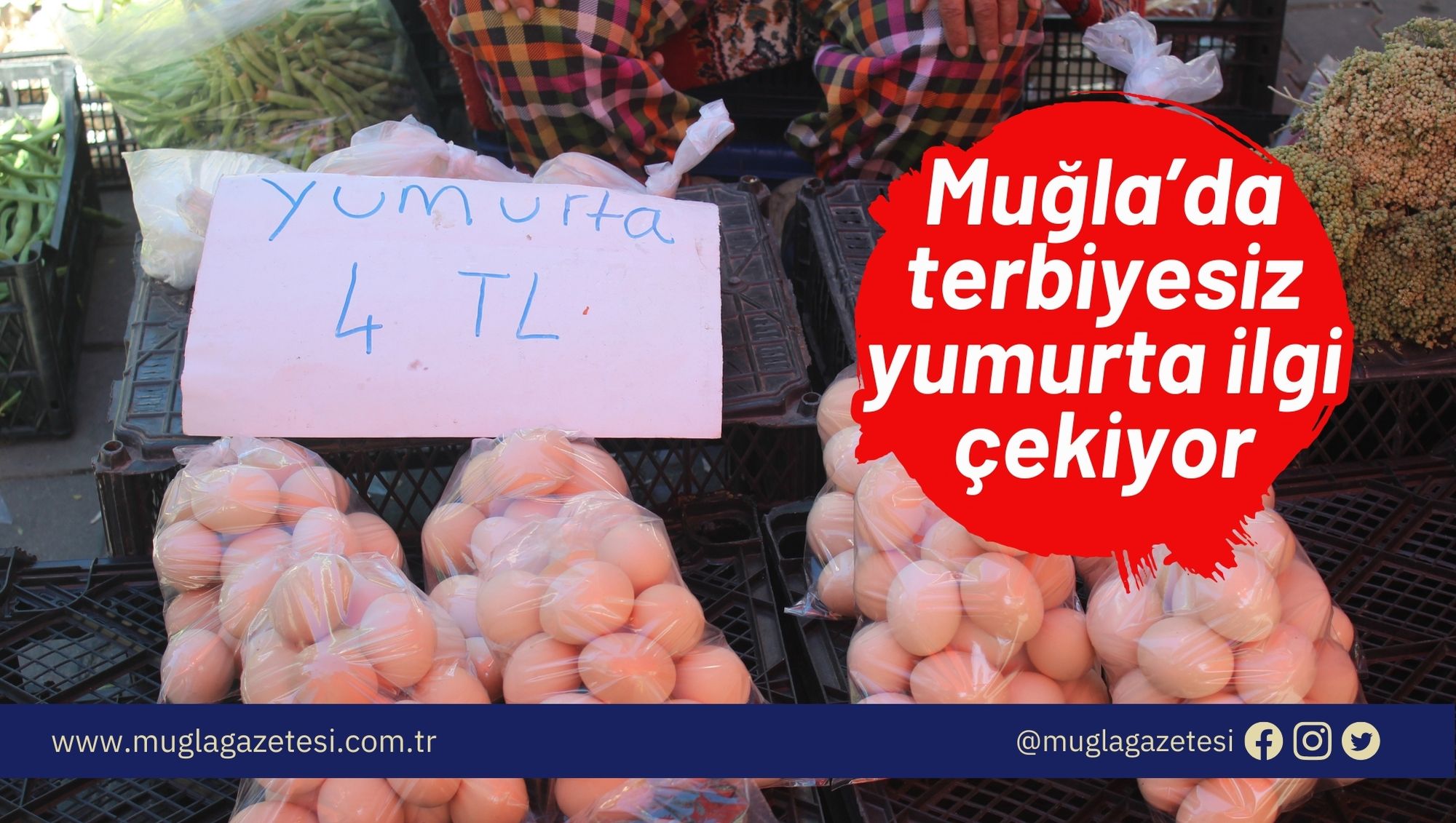 Muğla’da terbiyesiz yumurta ilgi çekiyor