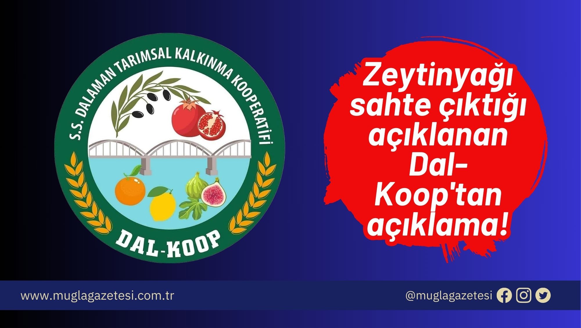 Zeytinyağı sahte çıktığı açıklanan Dal-Koop'tan açıklama!