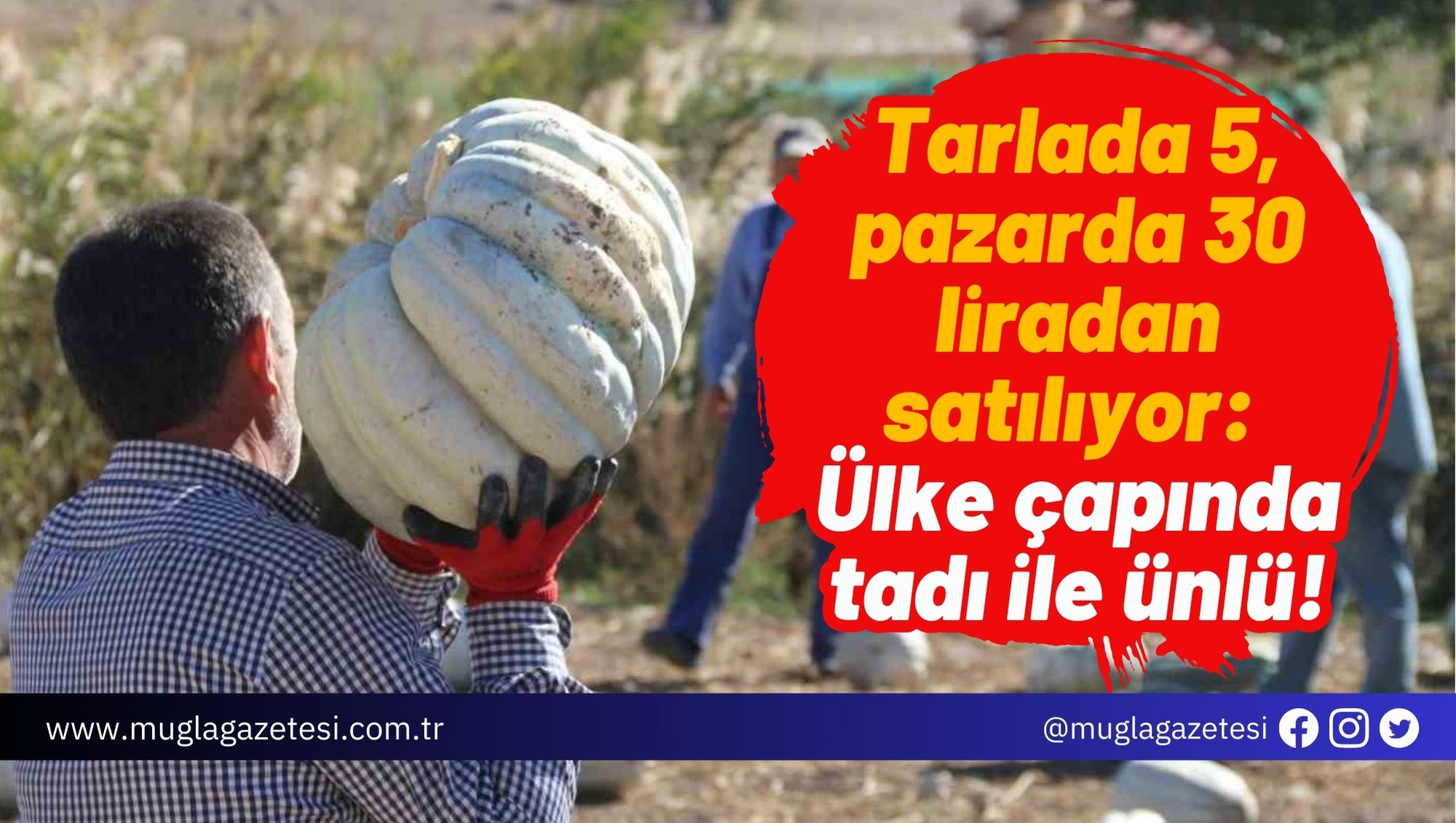 Tarlada 5, pazarda 30 liradan satılıyor: Ülke çapında tadı ile ünlü!