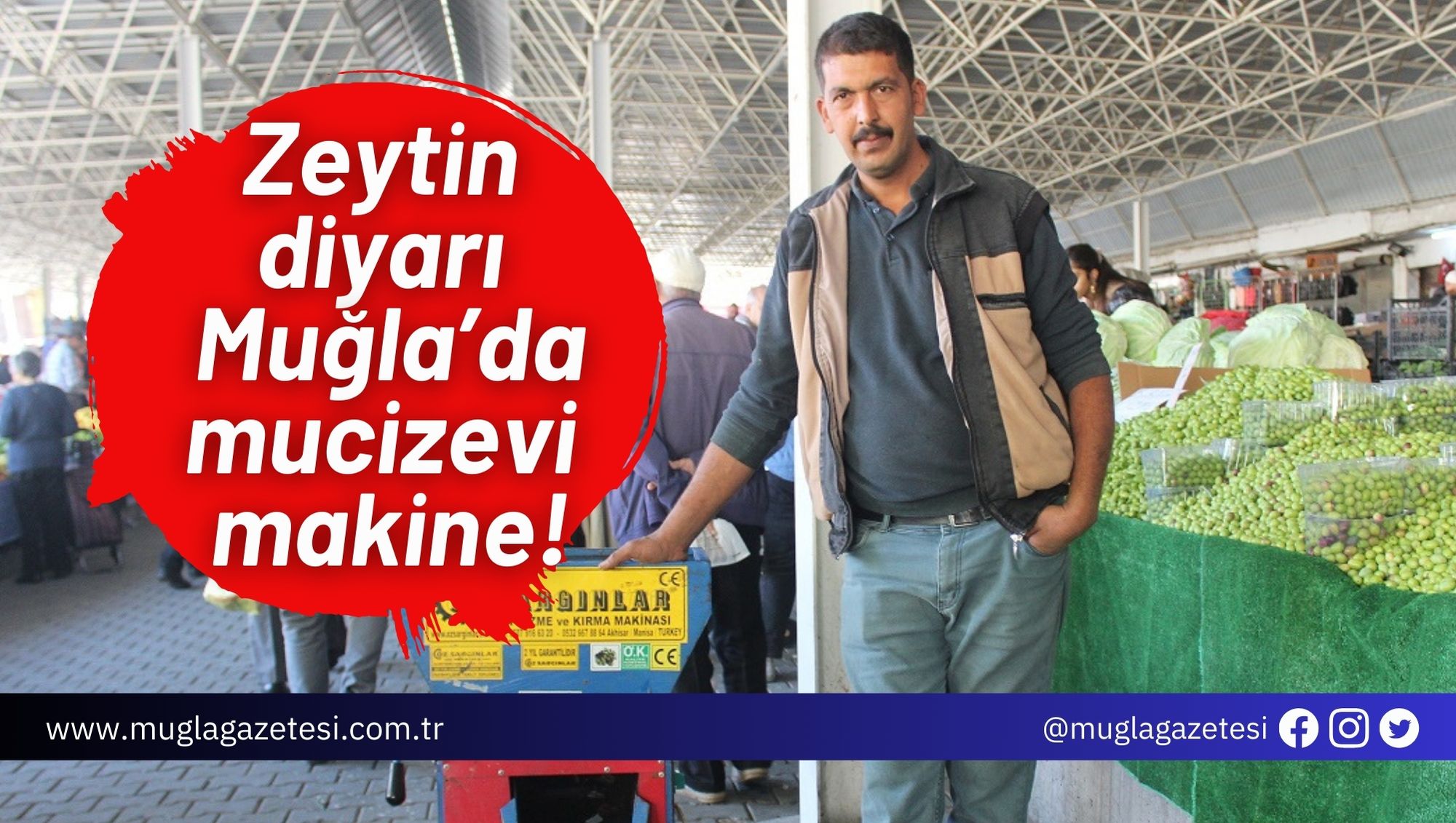 Zeytin diyarı Muğla’da mucizevi makine!