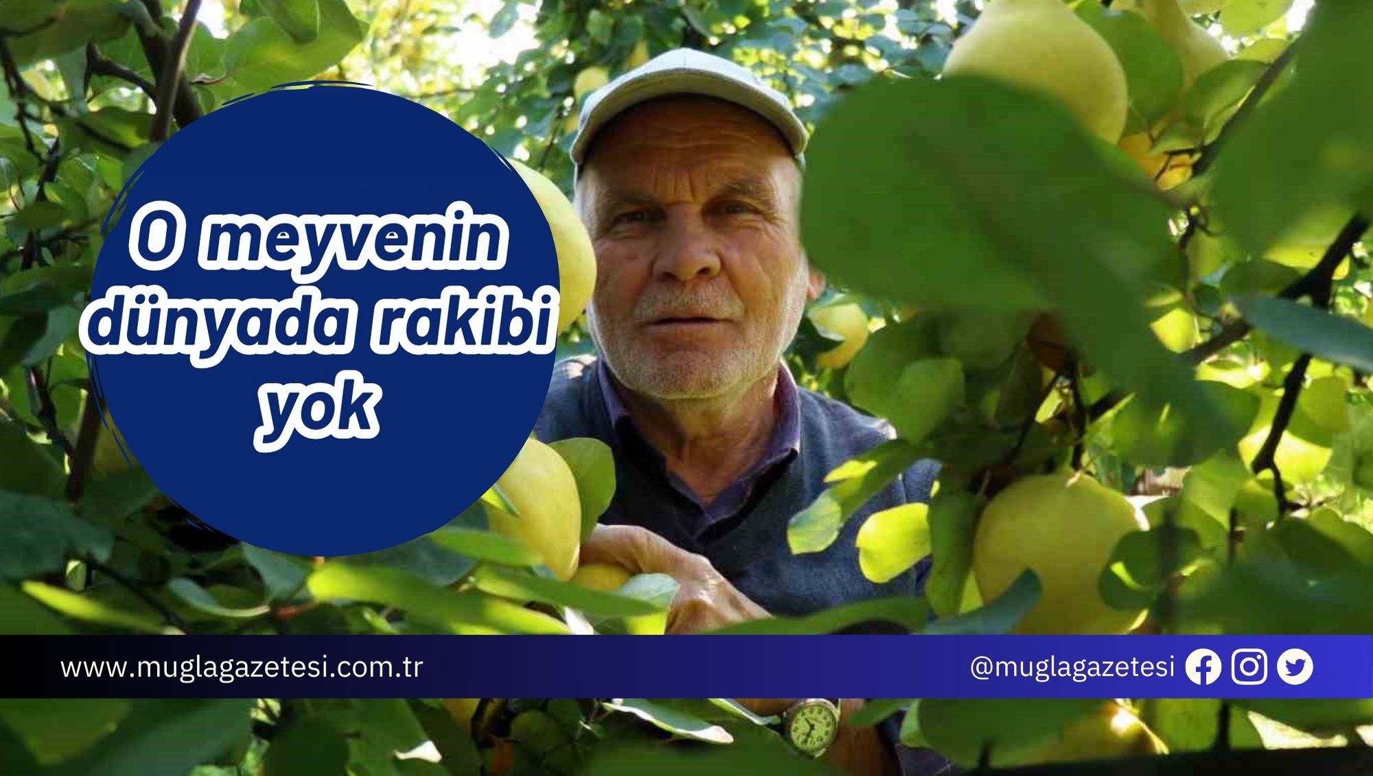 O meyvenin dünyada rakibi yok