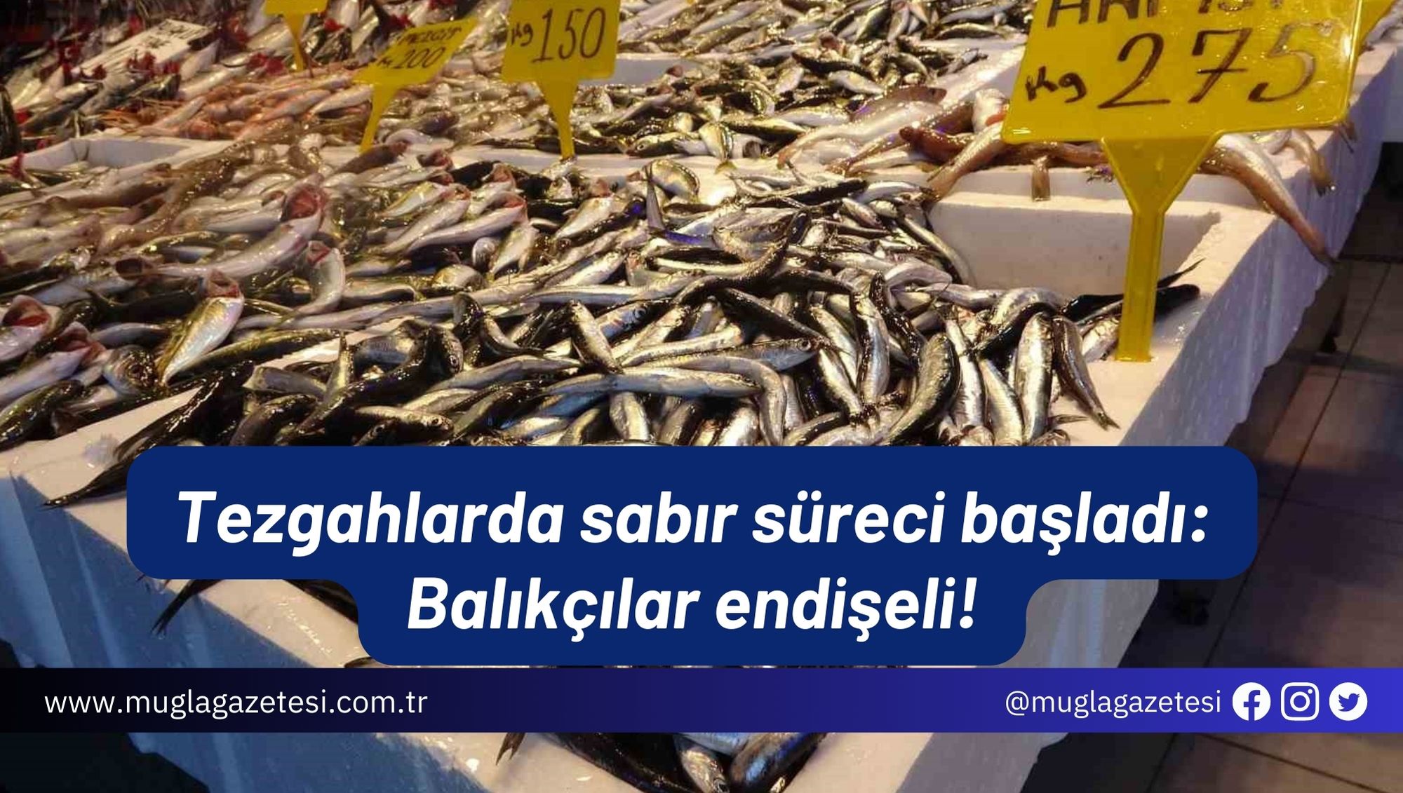 Tezgahlarda sabır süreci başladı: Balıkçılar endişeli!