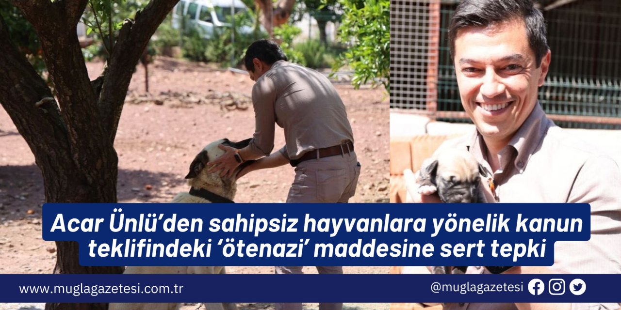 Marmaris Belediye Başkanı Acar Ünlü’den sahipsiz hayvanlara yönelik kanun teklifindeki ‘ötenazi’ maddesine sert tepki