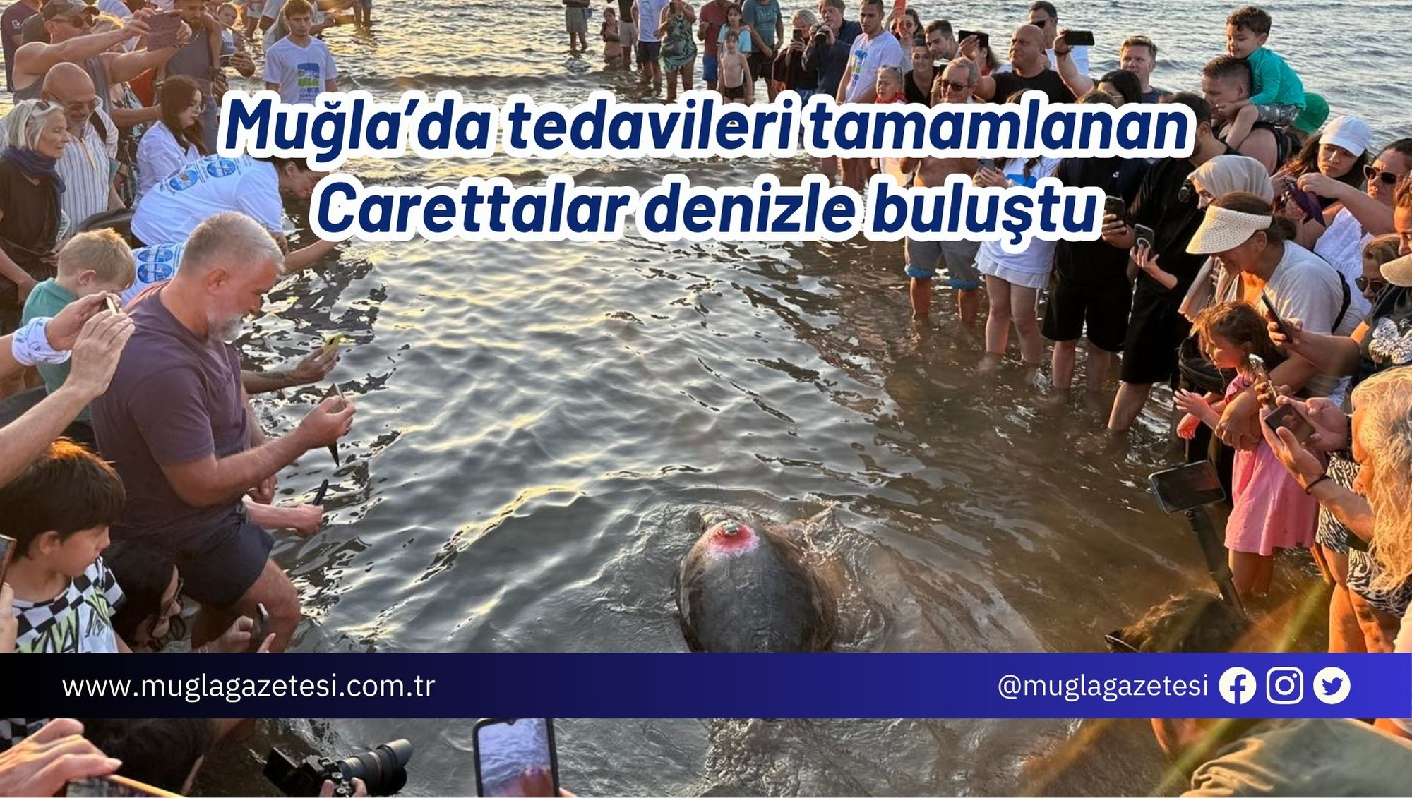 Muğla’da tedavileri tamamlanan Carettalar denizle buluştu