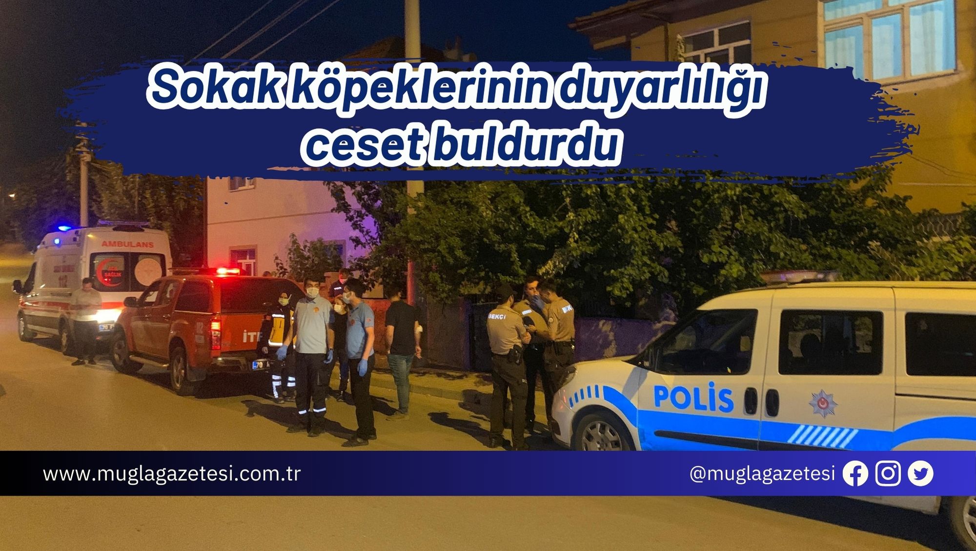 Sokak köpeklerinin duyarlılığı ceset buldurdu