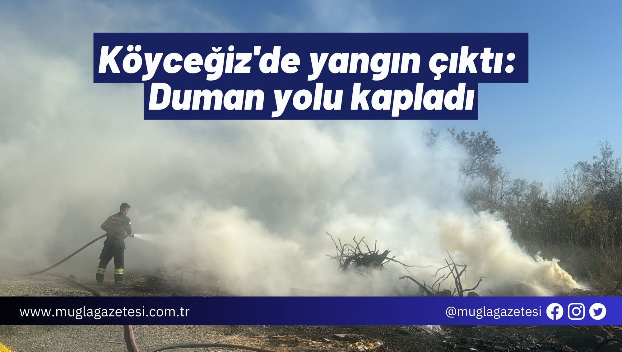 Köyceğiz'de yangın çıktı: Duman yolu kapladı