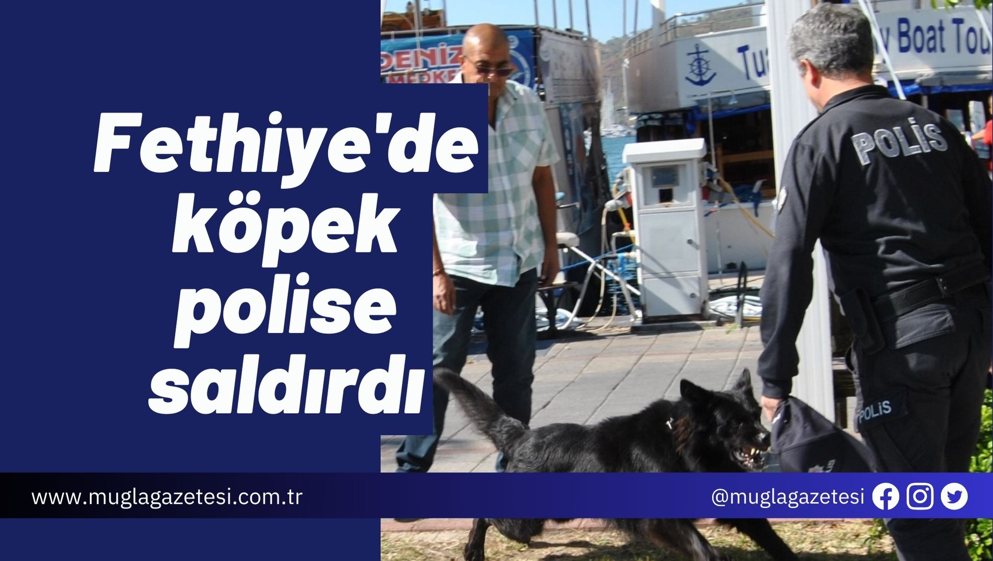 Fethiye'de köpek polise saldırdı