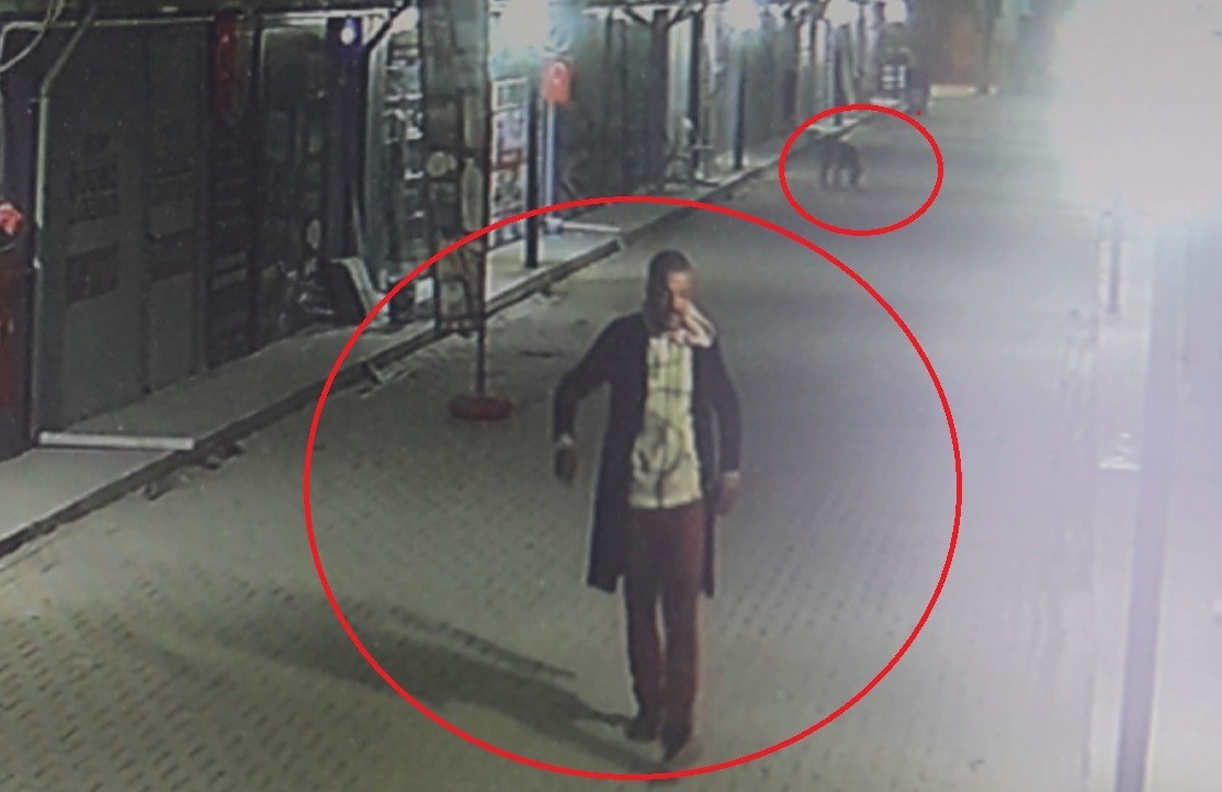 Kedileri parçalatmıştı: Adli kontrolle serbest bırakıldı