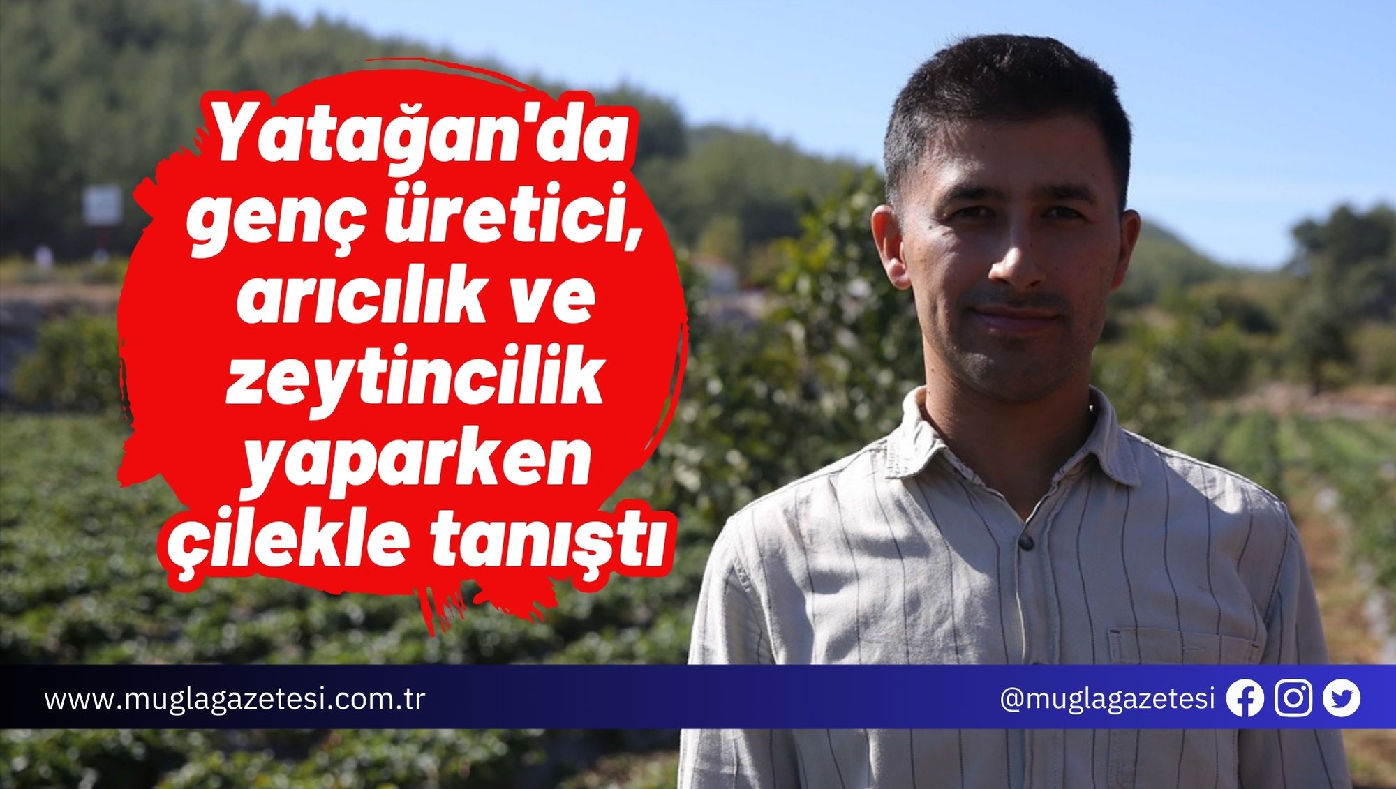 Yatağan'da genç üretici, arıcılık ve zeytincilik yaparken çilekle tanıştı