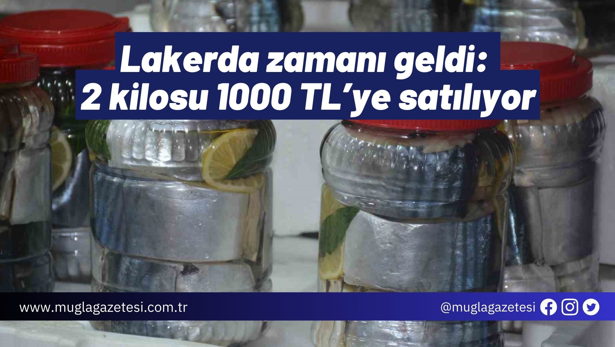 Lakerda zamanı geldi: 2 kilosu 1000 TL’ye satılıyor