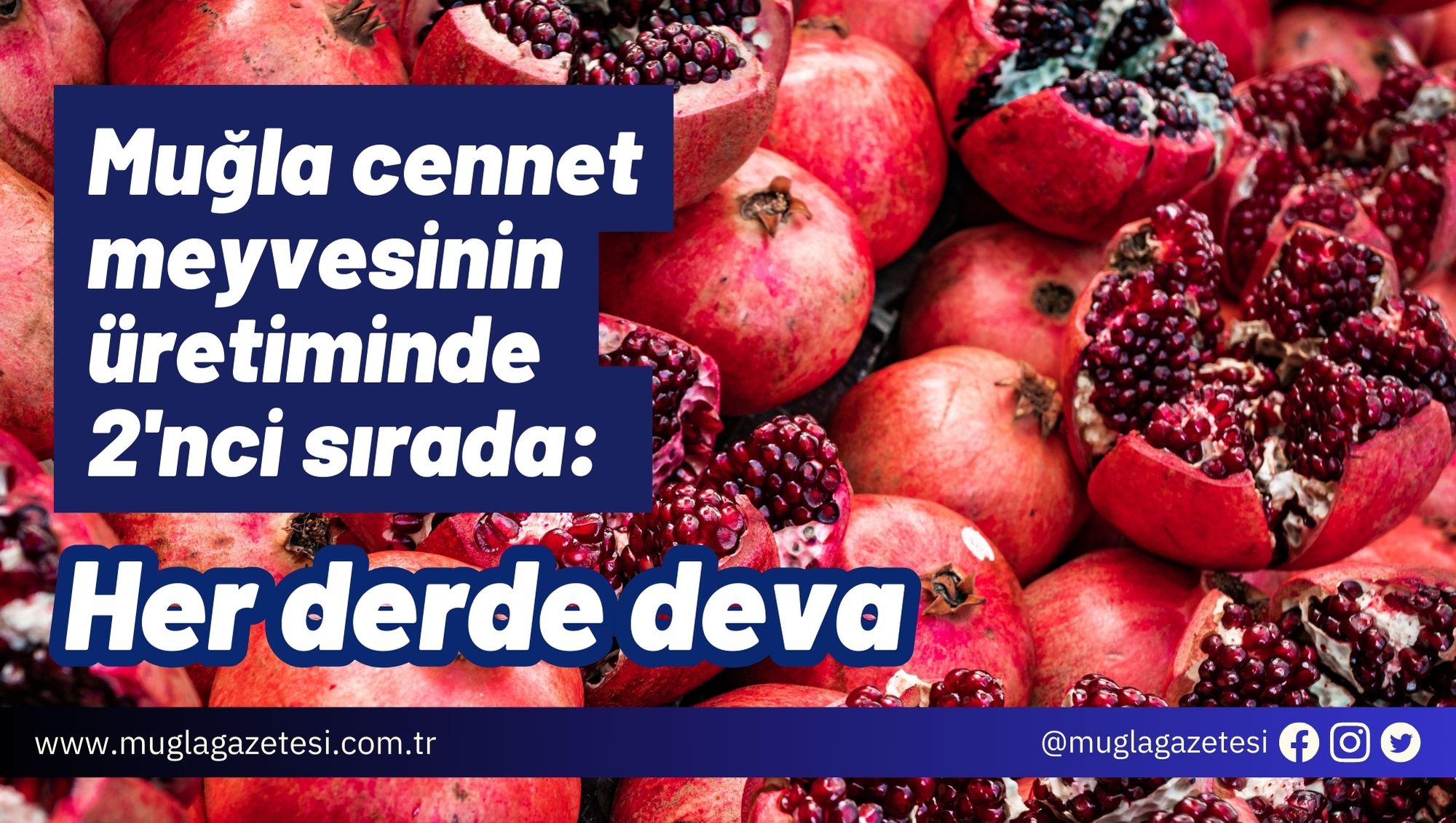 Muğla cennet meyvesinin üretiminde 2'nci sırada: Her derde deva