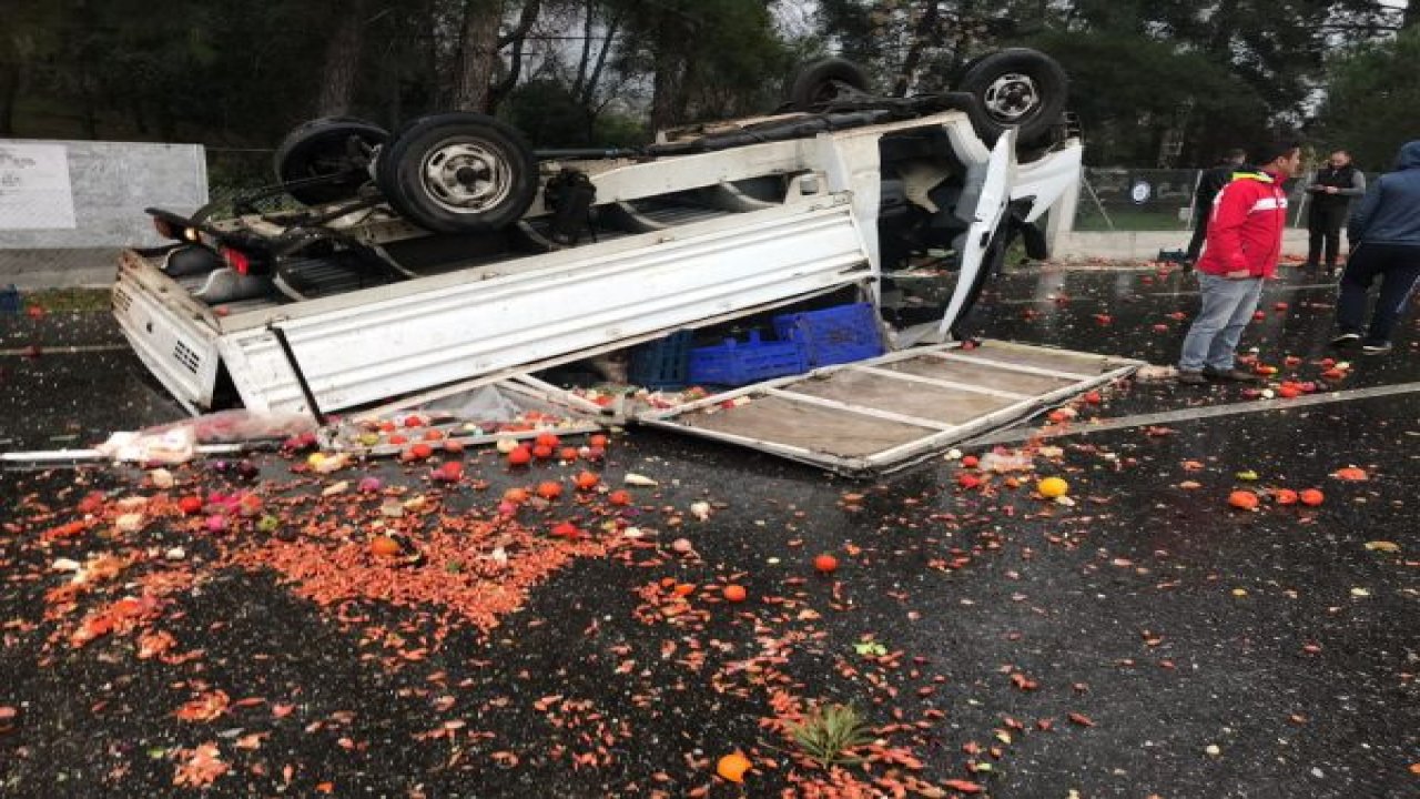 Domates yüklü  kamyonet takla attı