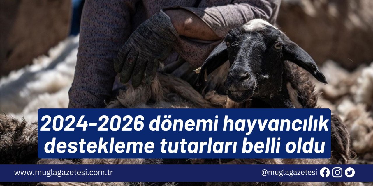 2024-2026 dönemi hayvancılık destekleme tutarları belli oldu