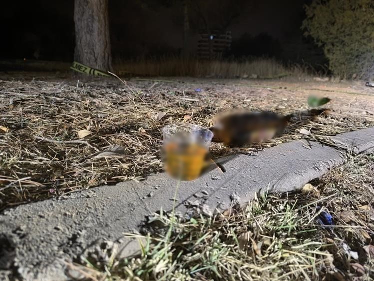 Silahlı kavga kanlı bitti! 1 ölü, 1 yaralı