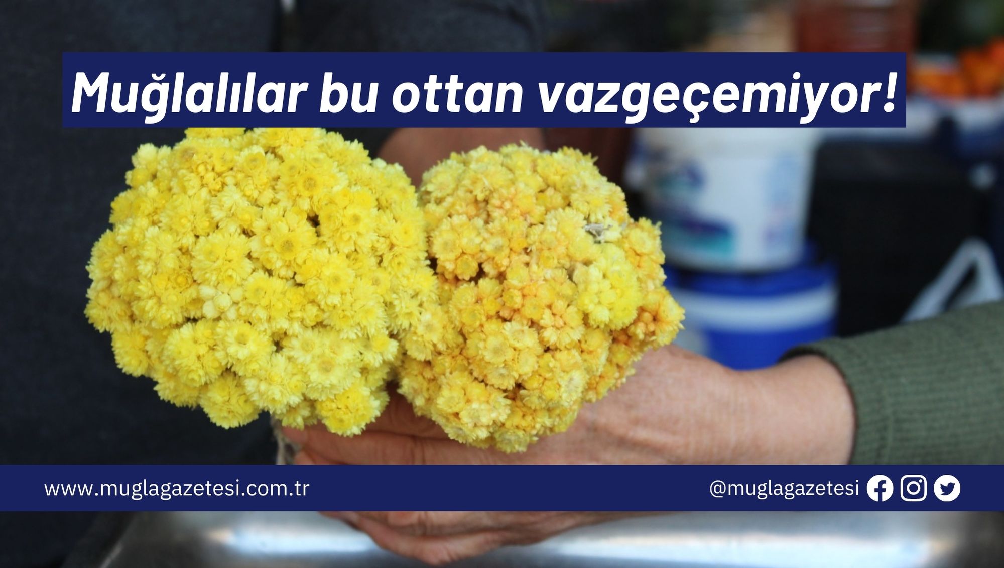 Muğlalılar bu ottan vazgeçemiyor!