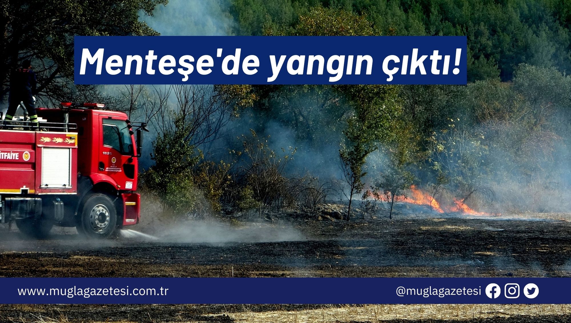 Menteşe'de yangın çıktı!