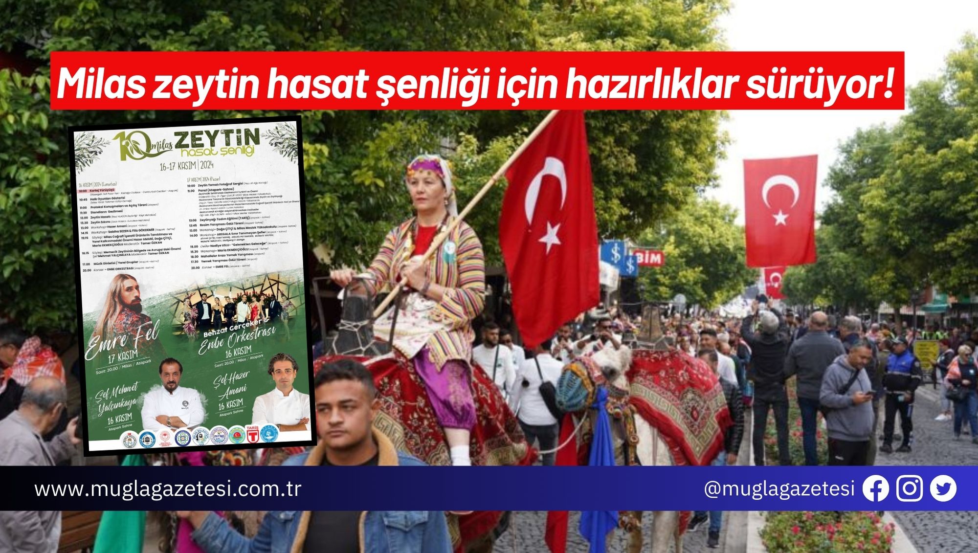 Milas zeytin hasat şenliği için hazırlıklar sürüyor!