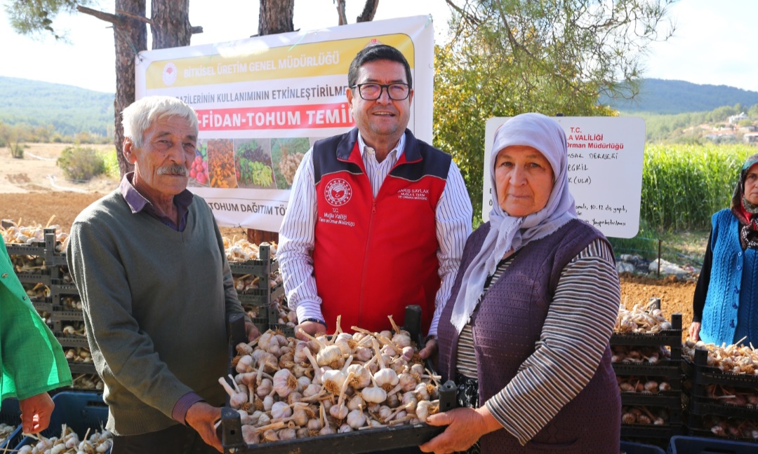 ULA SARIMSAĞINDA İMECE USULÜ ‘ÜRETİM’ MODELİ