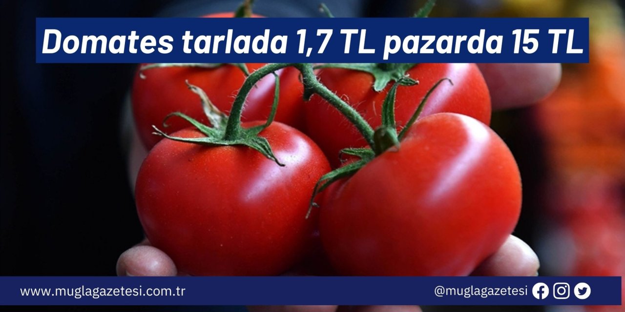 Domates tarlada 1,7 TL pazarda 15 TL