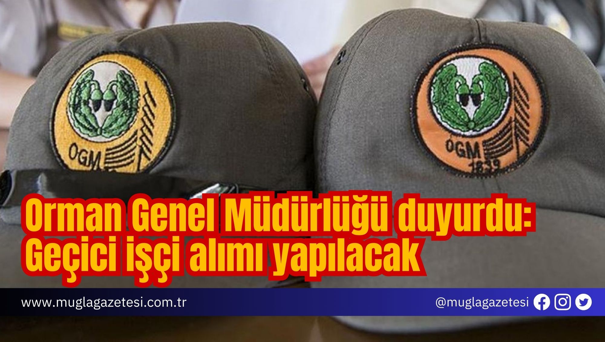 Orman Genel Müdürlüğü duyurdu: Geçici işçi alımı yapılacak