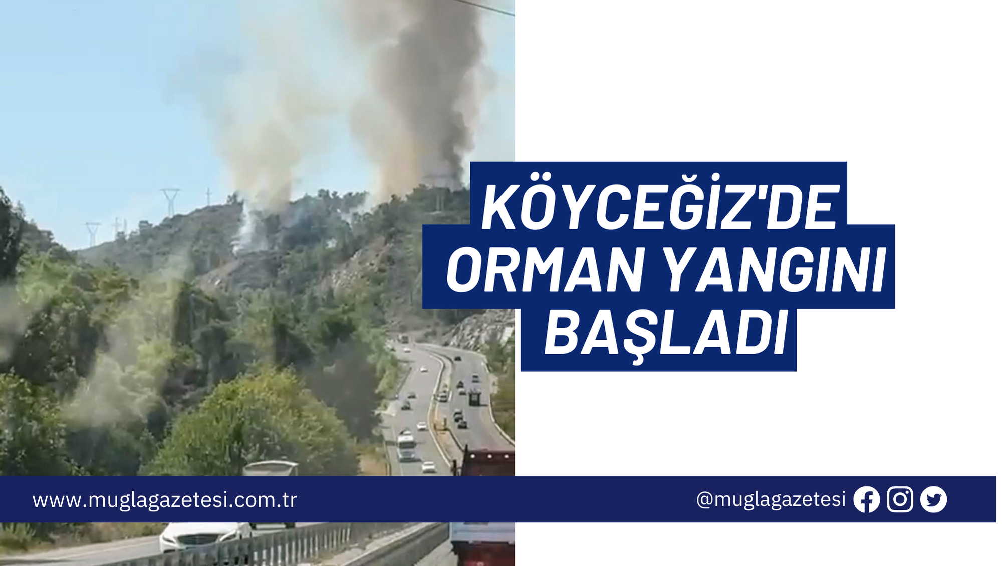 KÖYCEĞİZ'DE ORMAN YANGINI BAŞLADI