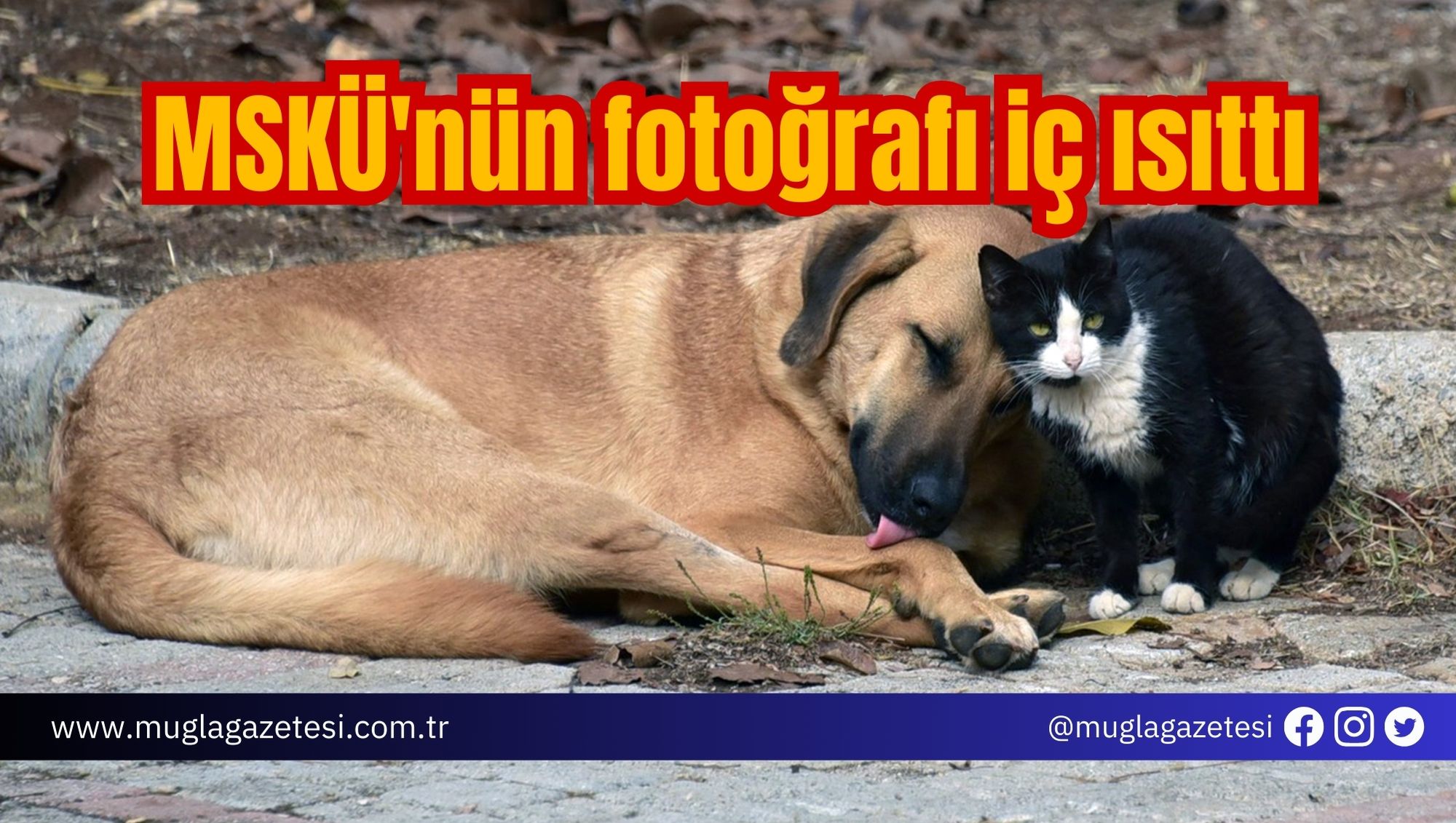 MSKÜ'nün fotoğrafı iç ısıttı