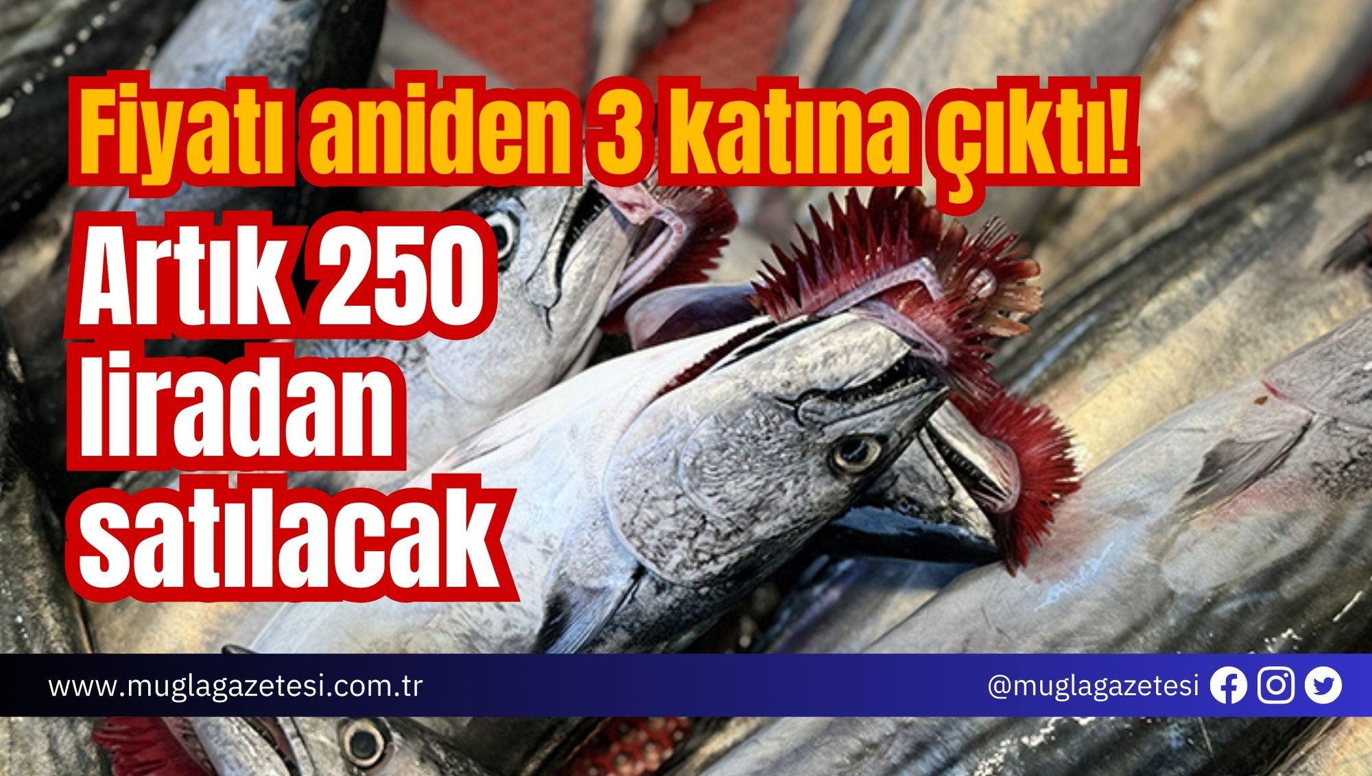 Fiyatı aniden 3 katına çıktı! Artık 250 liradan satılacak
