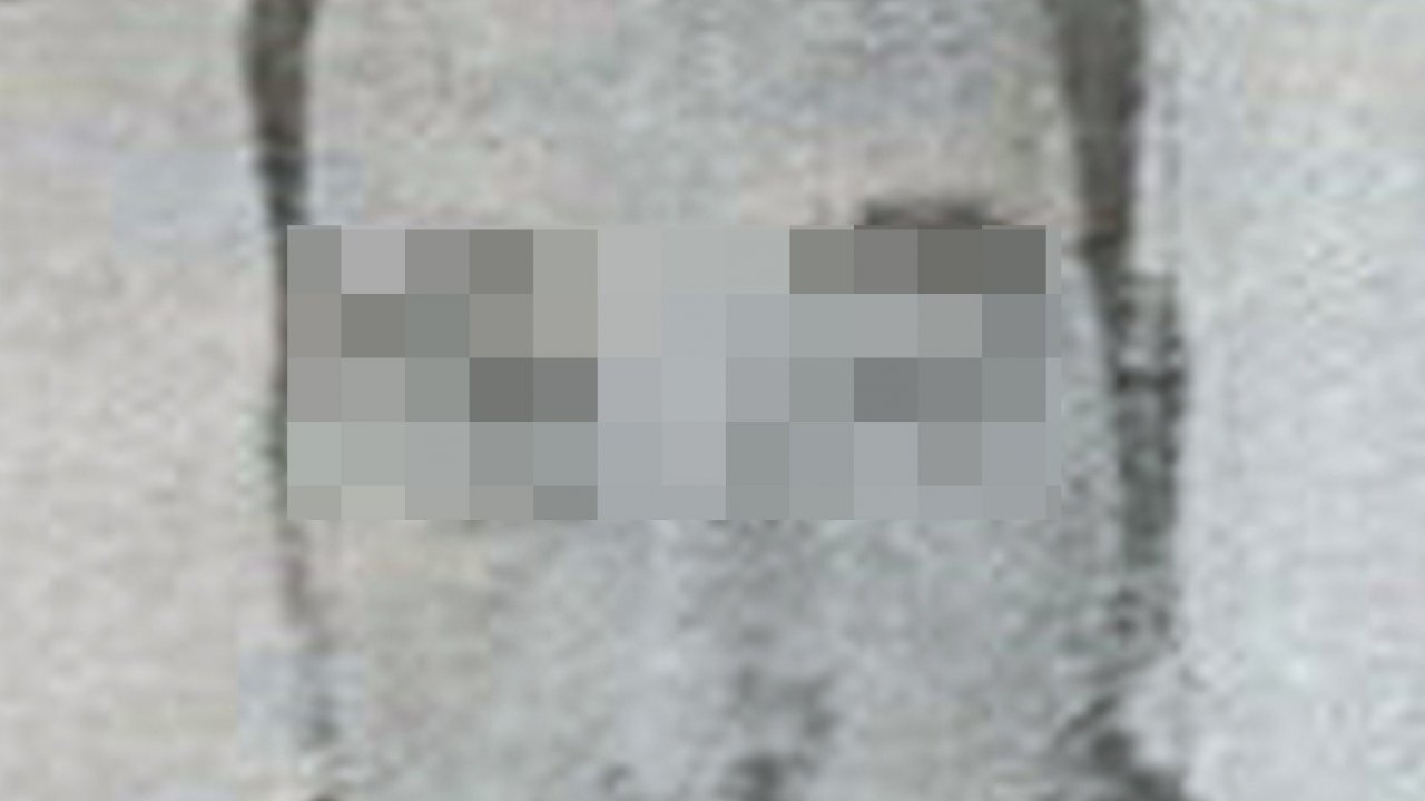 Muğla’da DAEŞ üyesi yakalandı