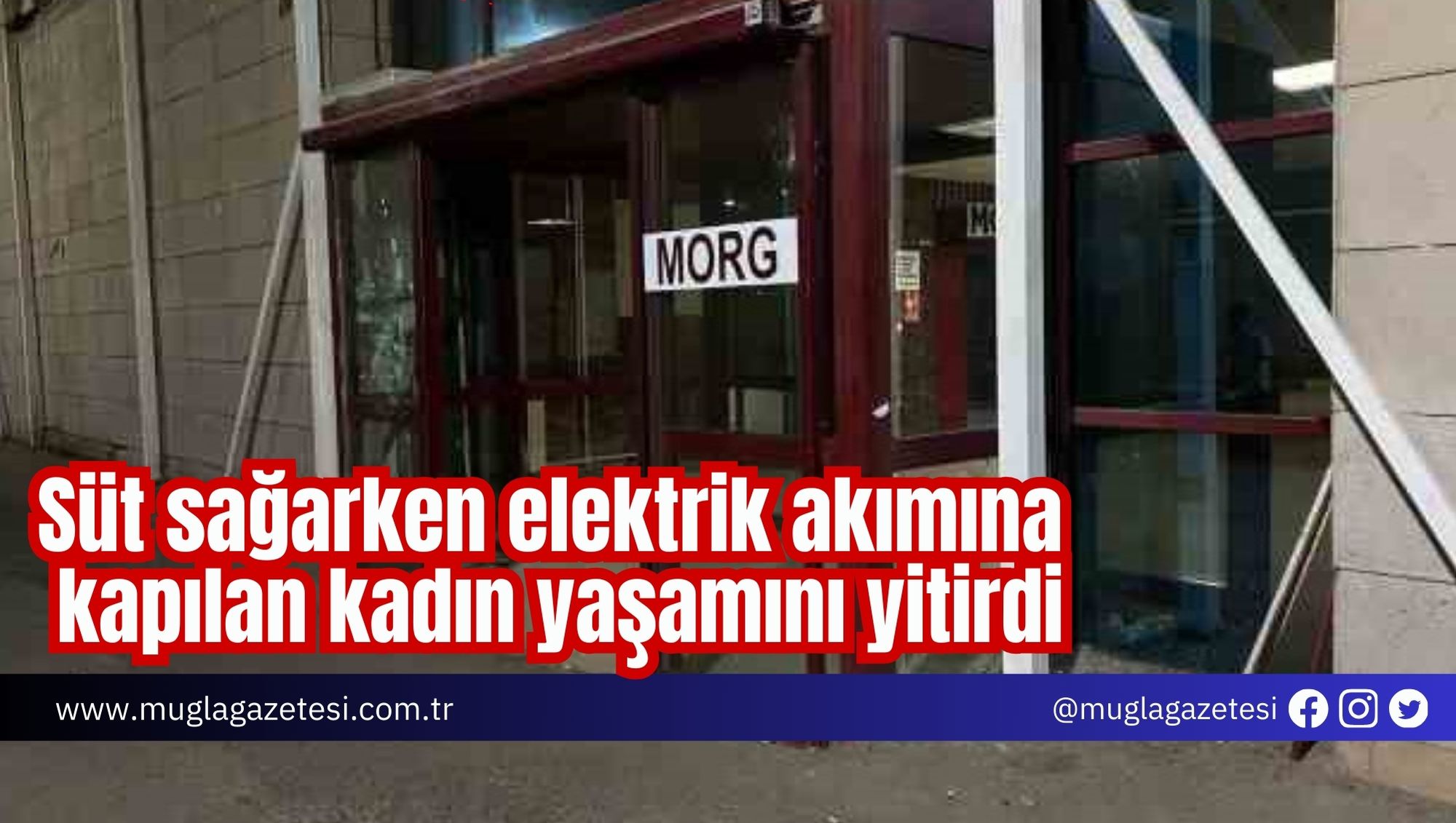 Süt sağarken elektrik akımına kapılan kadın yaşamını yitirdi