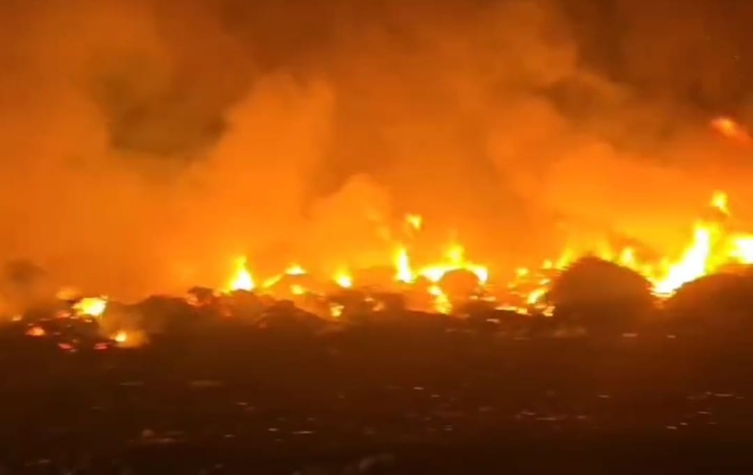 Milas'ta korkutan çöplük yangını!