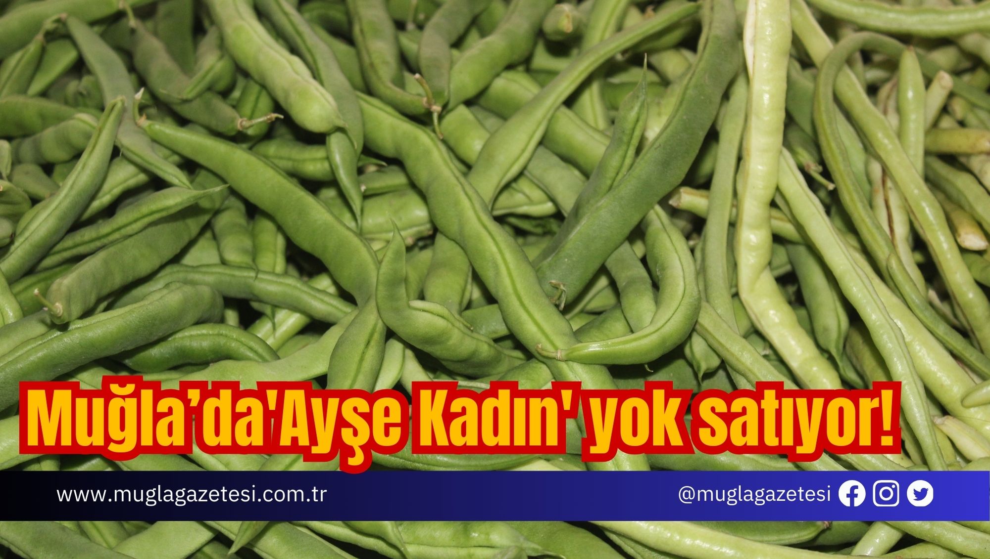 Muğla'da 'Ayşe Kadın' yok satıyor!