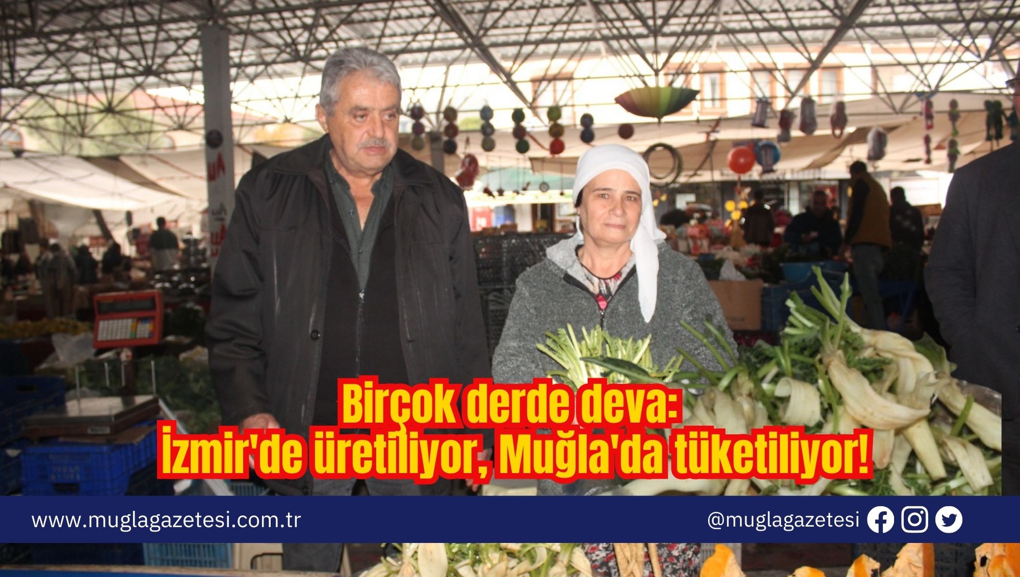 Birçok derde deva: İzmir'de üretiliyor, Muğla'da tüketiliyor!