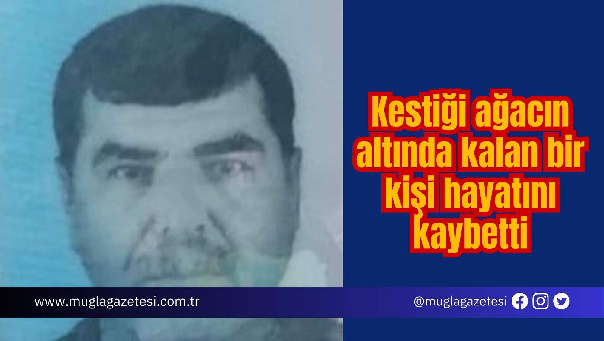 Kestiği ağacın altında kalan bir kişi hayatını kaybetti