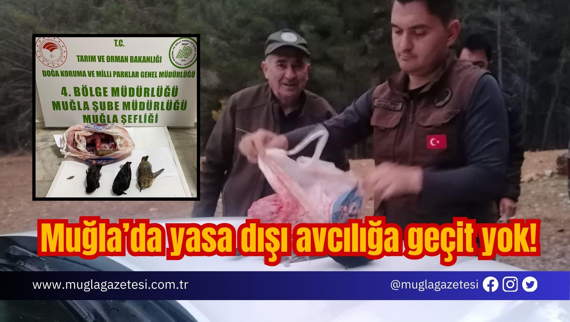 Muğla’da yasa dışı avcılığa geçit yok!