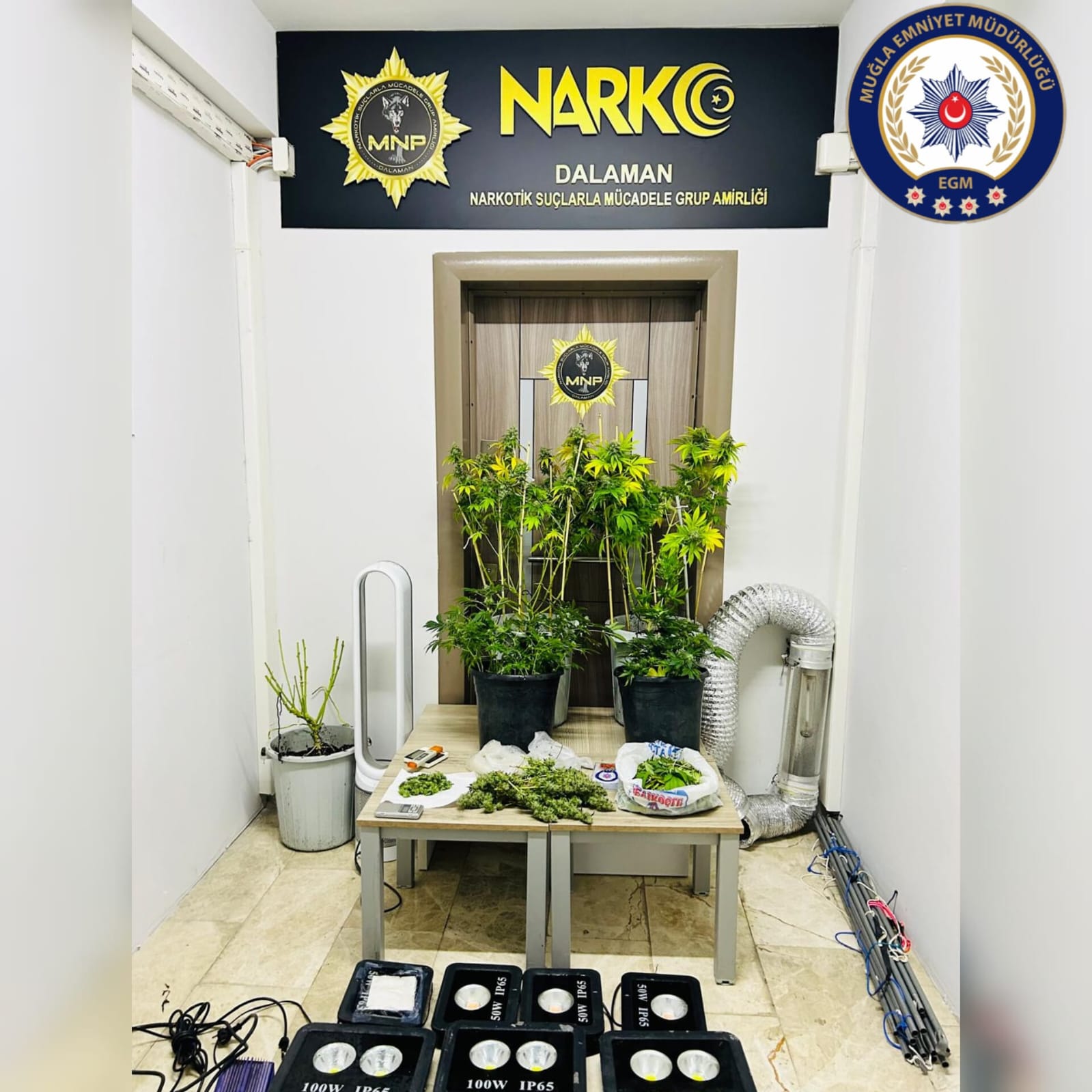 Muğla'da yasaklı madde ile Mücadele Çalışmaları