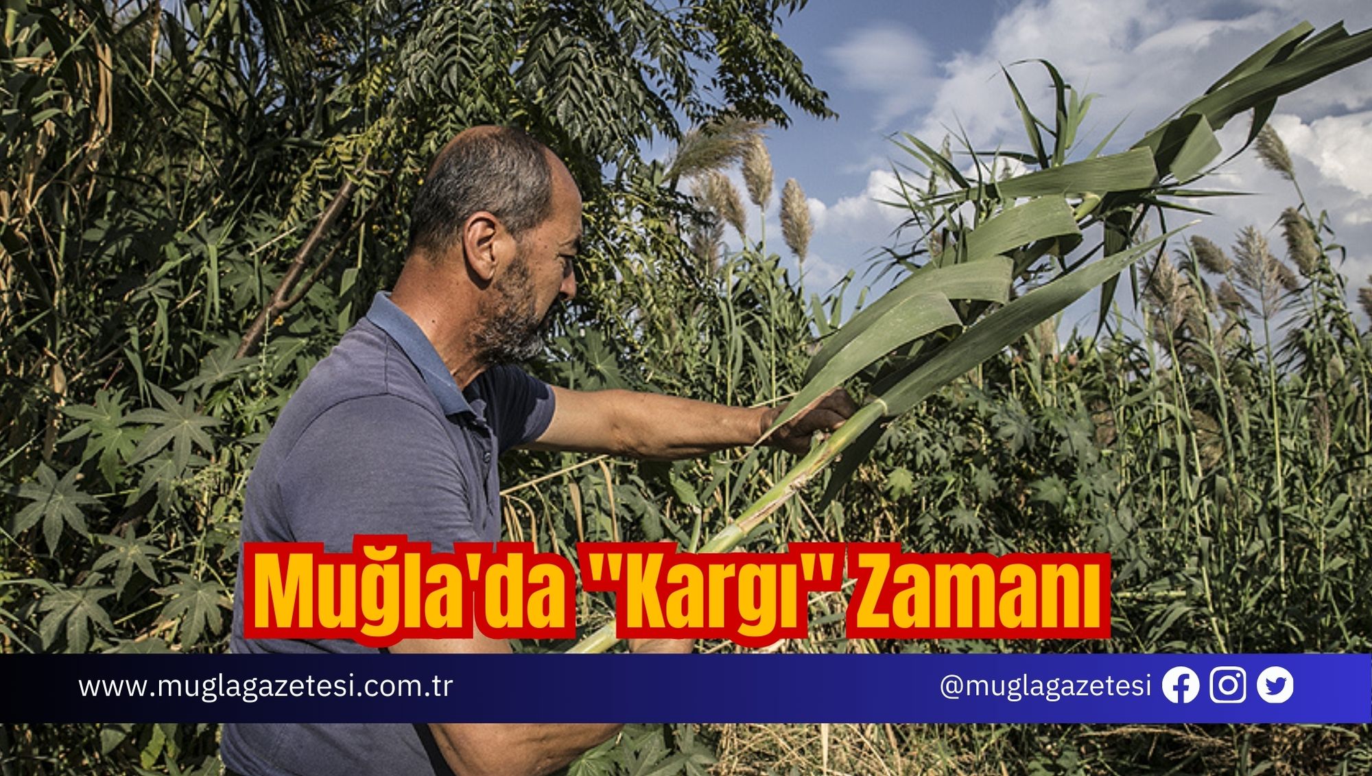 Muğla'da 