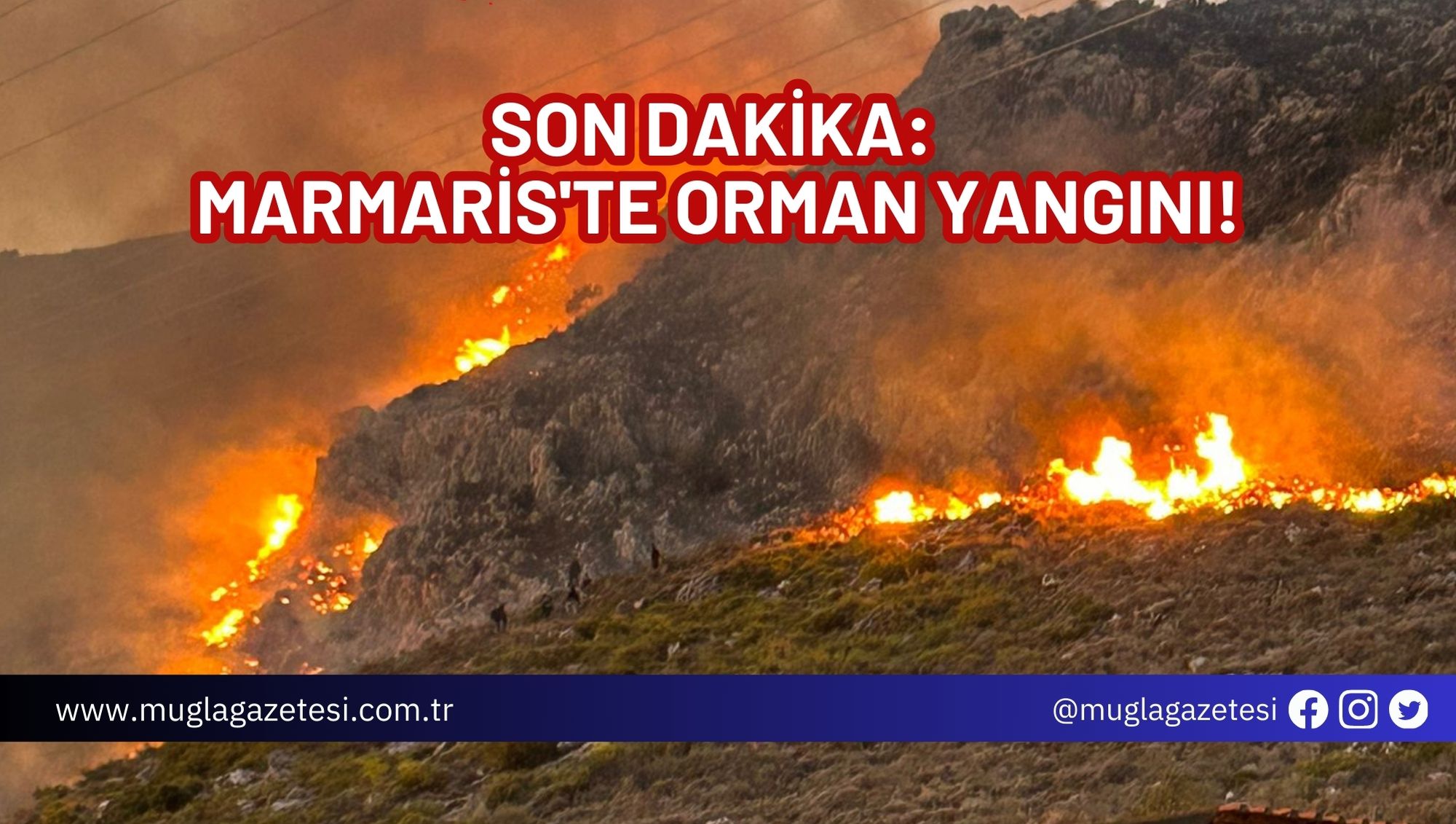 SON DAKİKA: MARMARİS'TE ORMAN YANGINI!