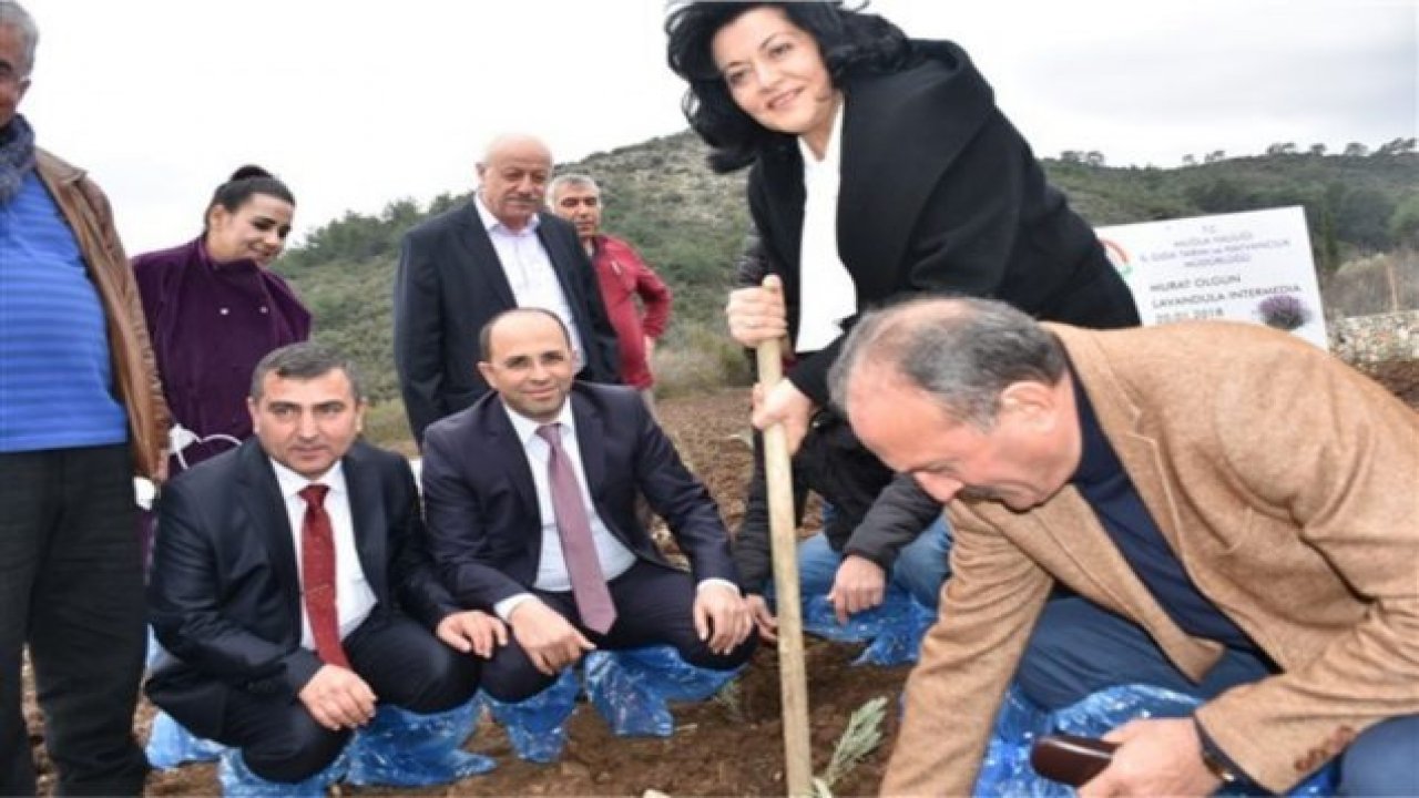 Tıbbi ve Aromatik Bitkiler Projesi