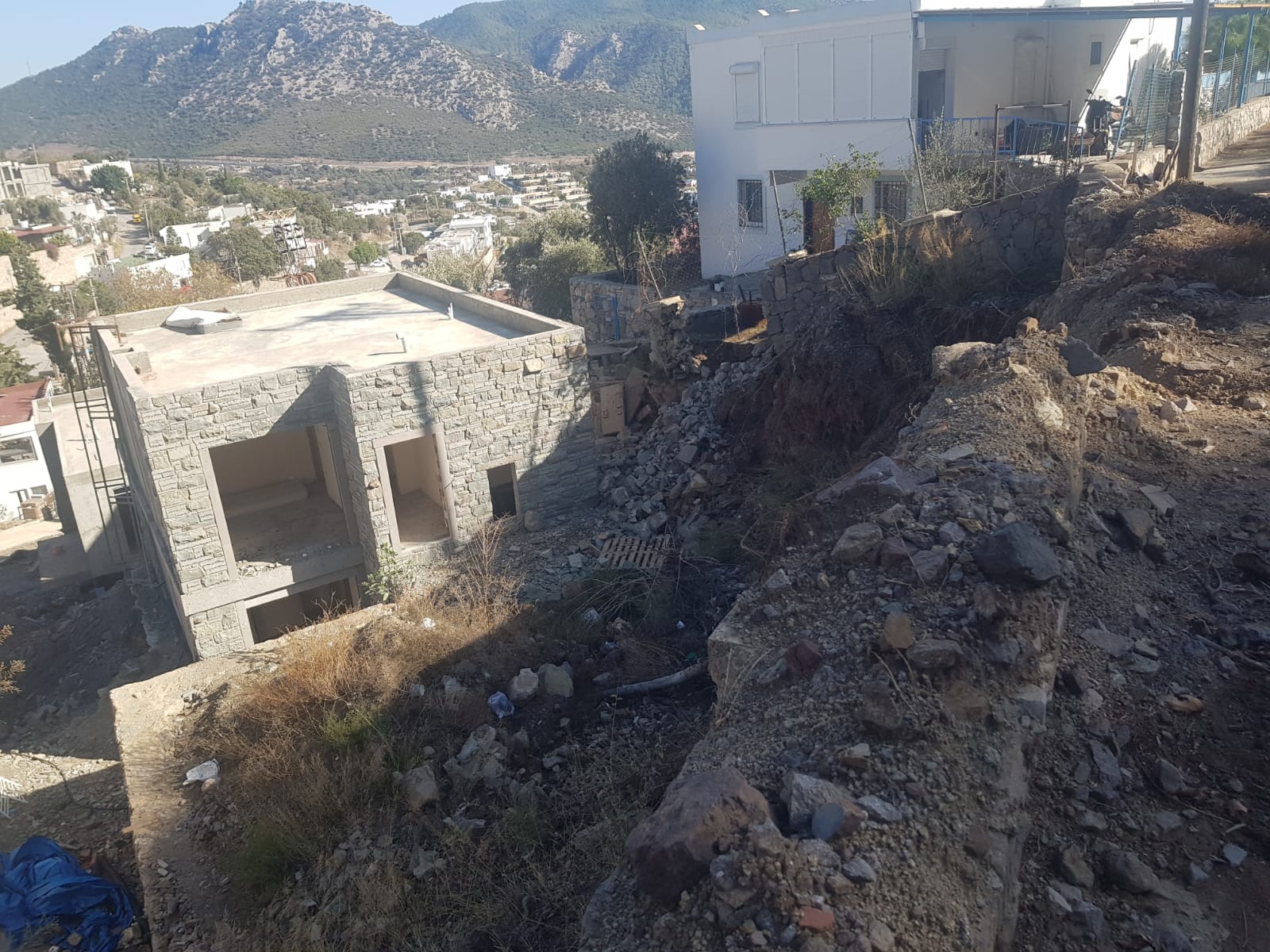 Sanatçı Suavi'nin Bodrum'da Ağaçları izinsiz kestiği iddası