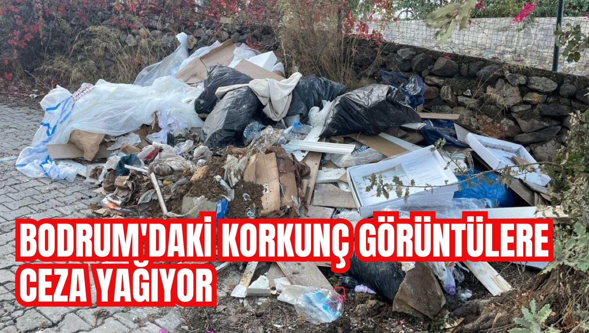 BODRUM'DAKİ KORKUNÇ GÖRÜNTÜLERE CEZA YAĞIYOR