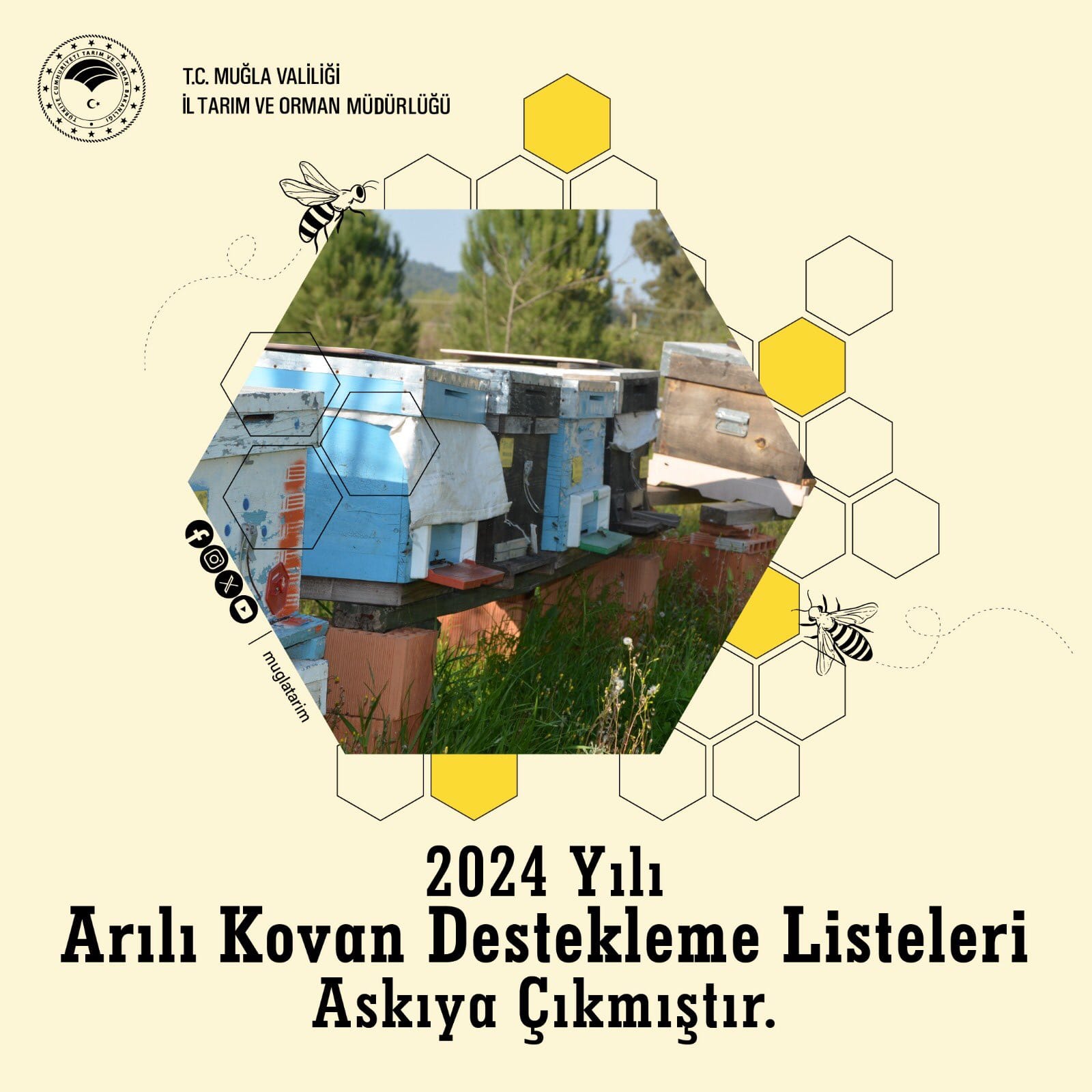 MUĞLALI ARICILARIN DİKKATİNE!