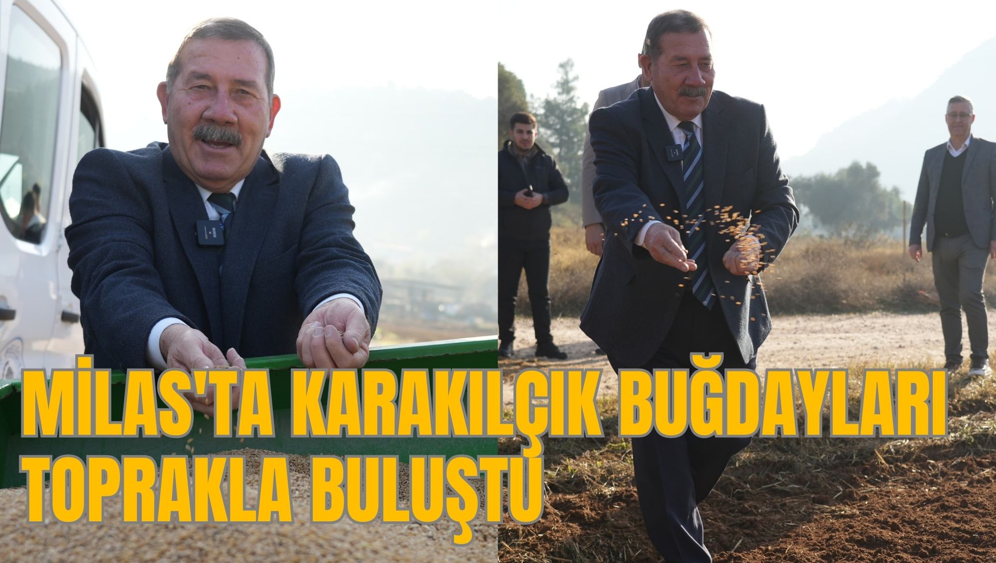 MİLAS'TA KARAKILÇIK BUĞDAYLARI TOPRAKLA BULUŞTU