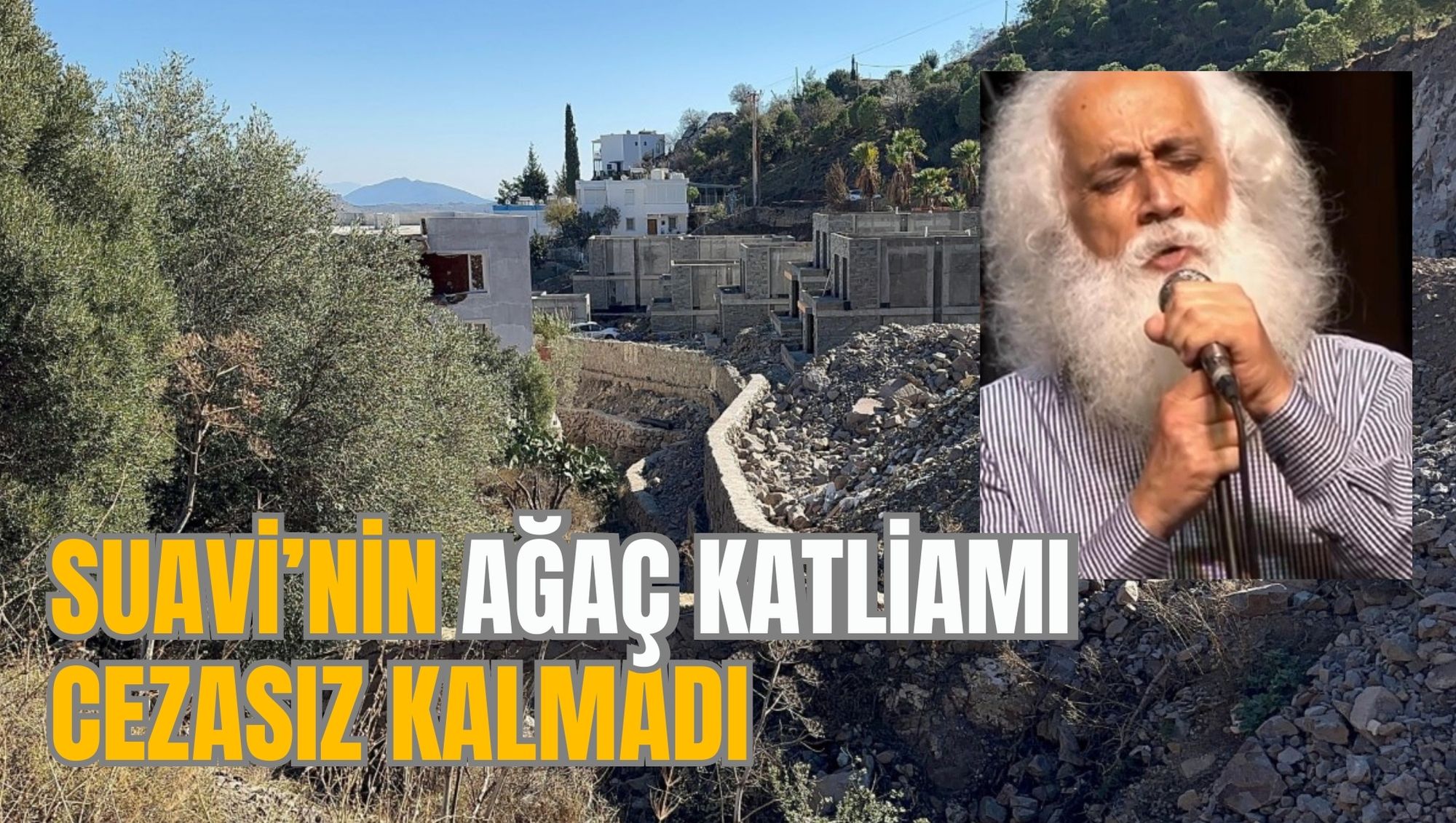 SUAVİ’NİN AĞAÇ KATLİAMI CEZASIZ KALMADI