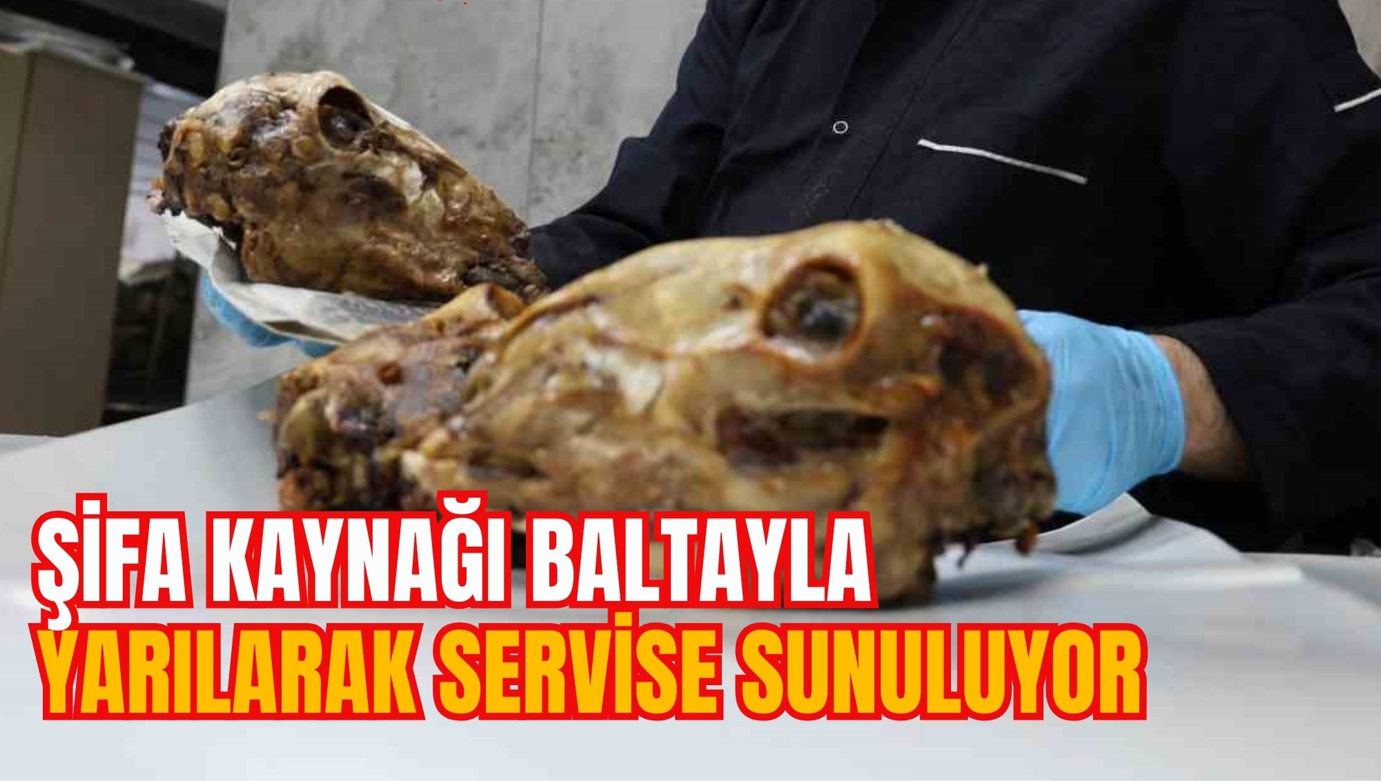 ŞİFA KAYNAĞI BALTAYLA YARILARAK SERVİSE SUNULUYOR