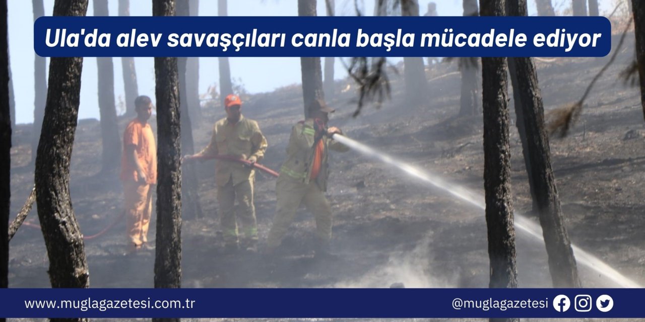 Ula'da alev savaşçıları canla başla mücadele ediyor