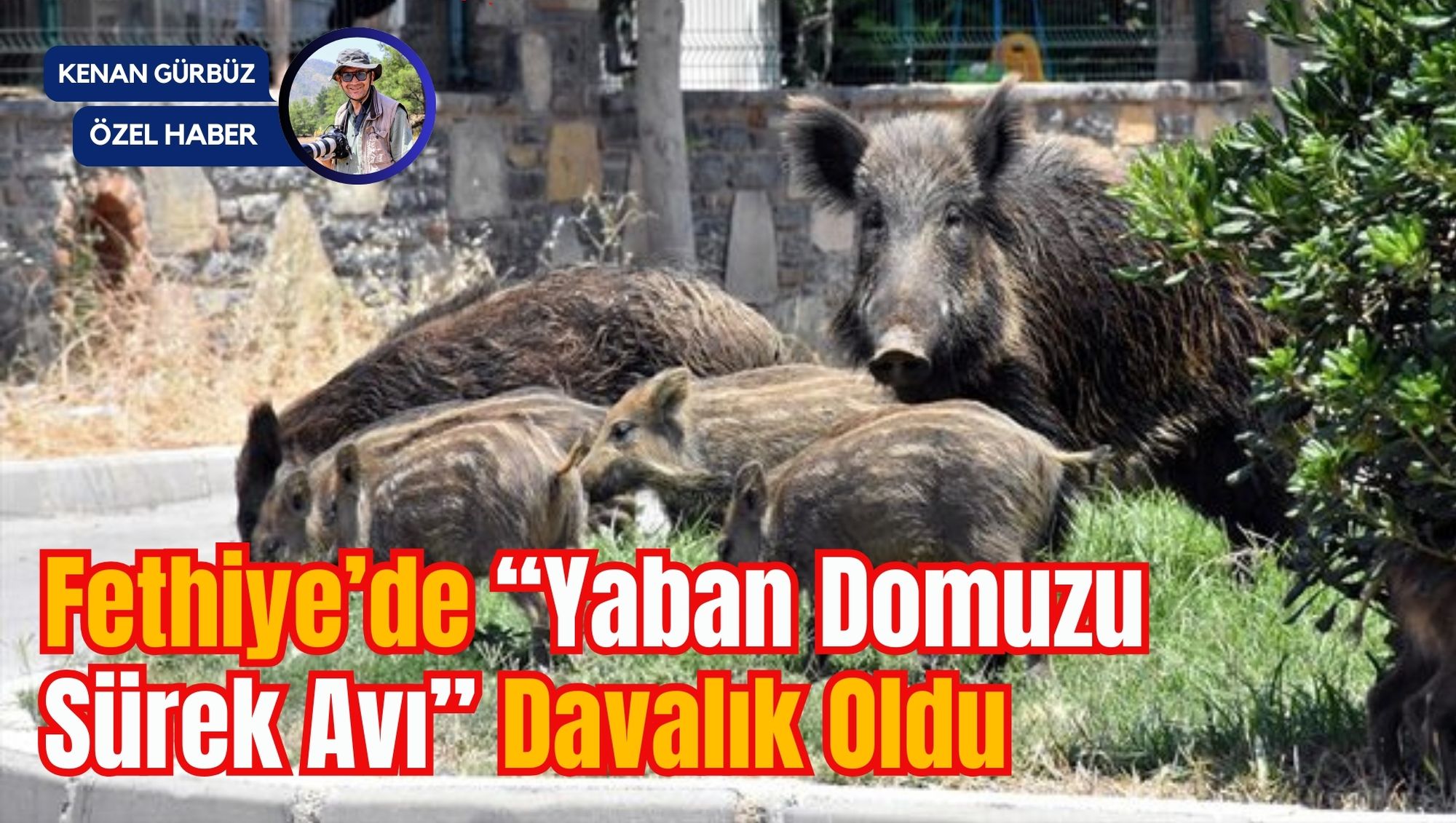 Fethiye’de “Yaban Domuzu Sürek Avı” Davalık Oldu