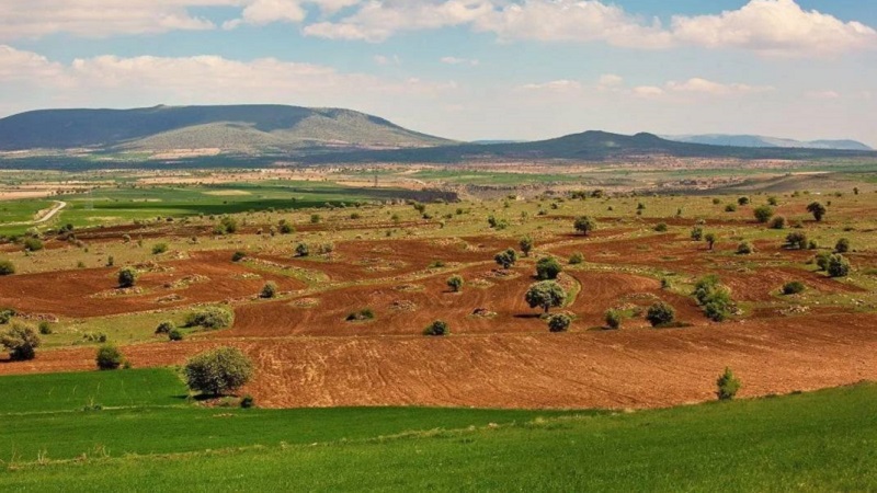 Muğla'da arsa sahipleri dikkat etsin! Son tarih verildi