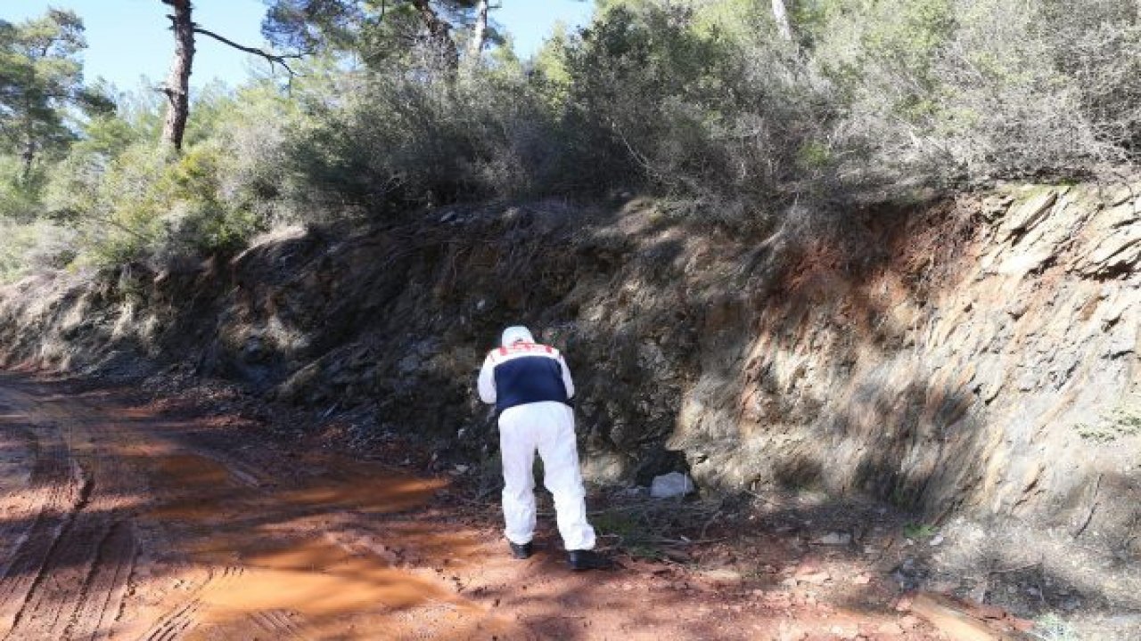 Çalı kesmek için tırmandığı yamaçtan düşerek öldü