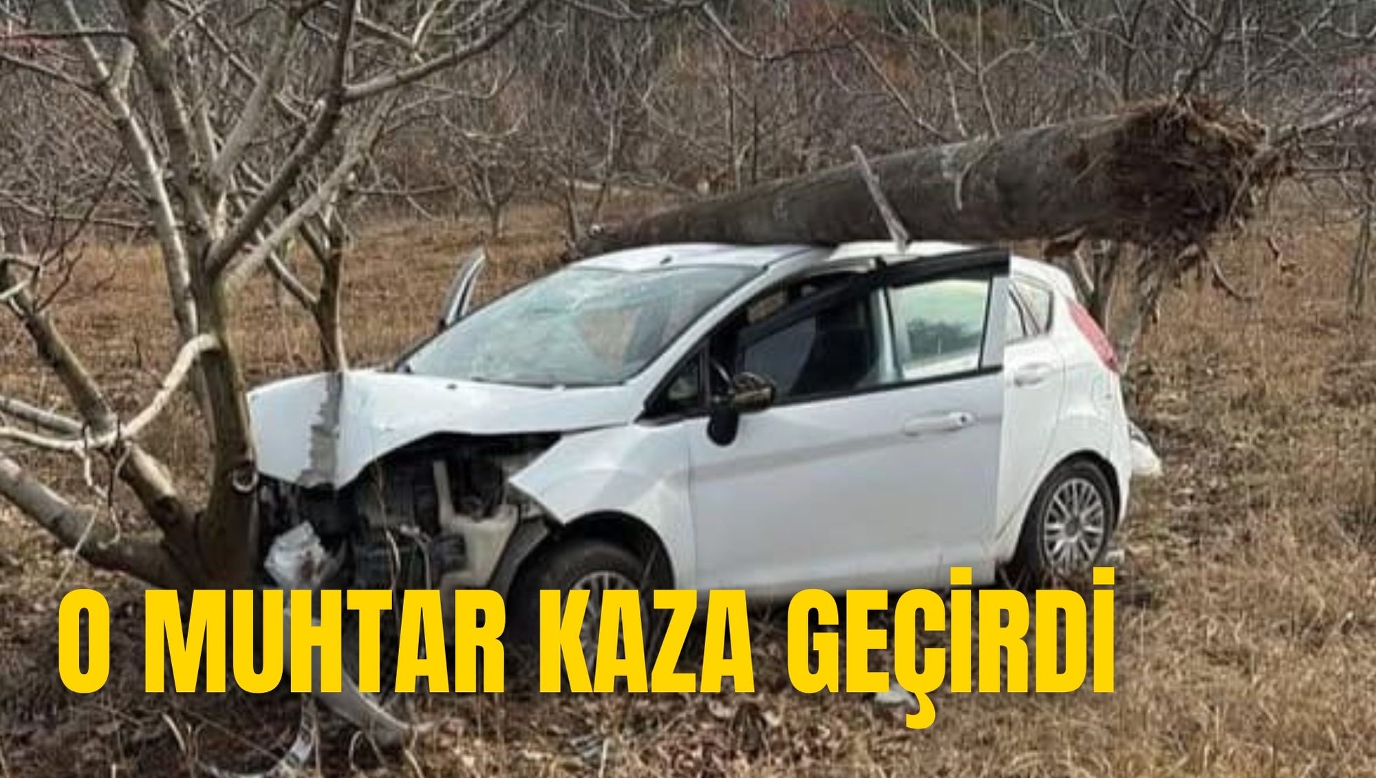 O MUHTAR KAZA GEÇİRDİ