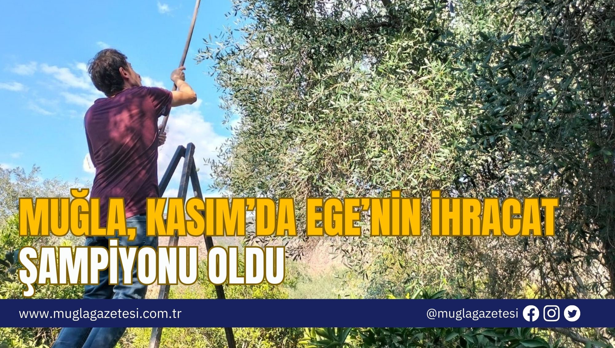 MUĞLA, KASIM’DA EGE’NİN İHRACAT ŞAMPİYONU OLDU